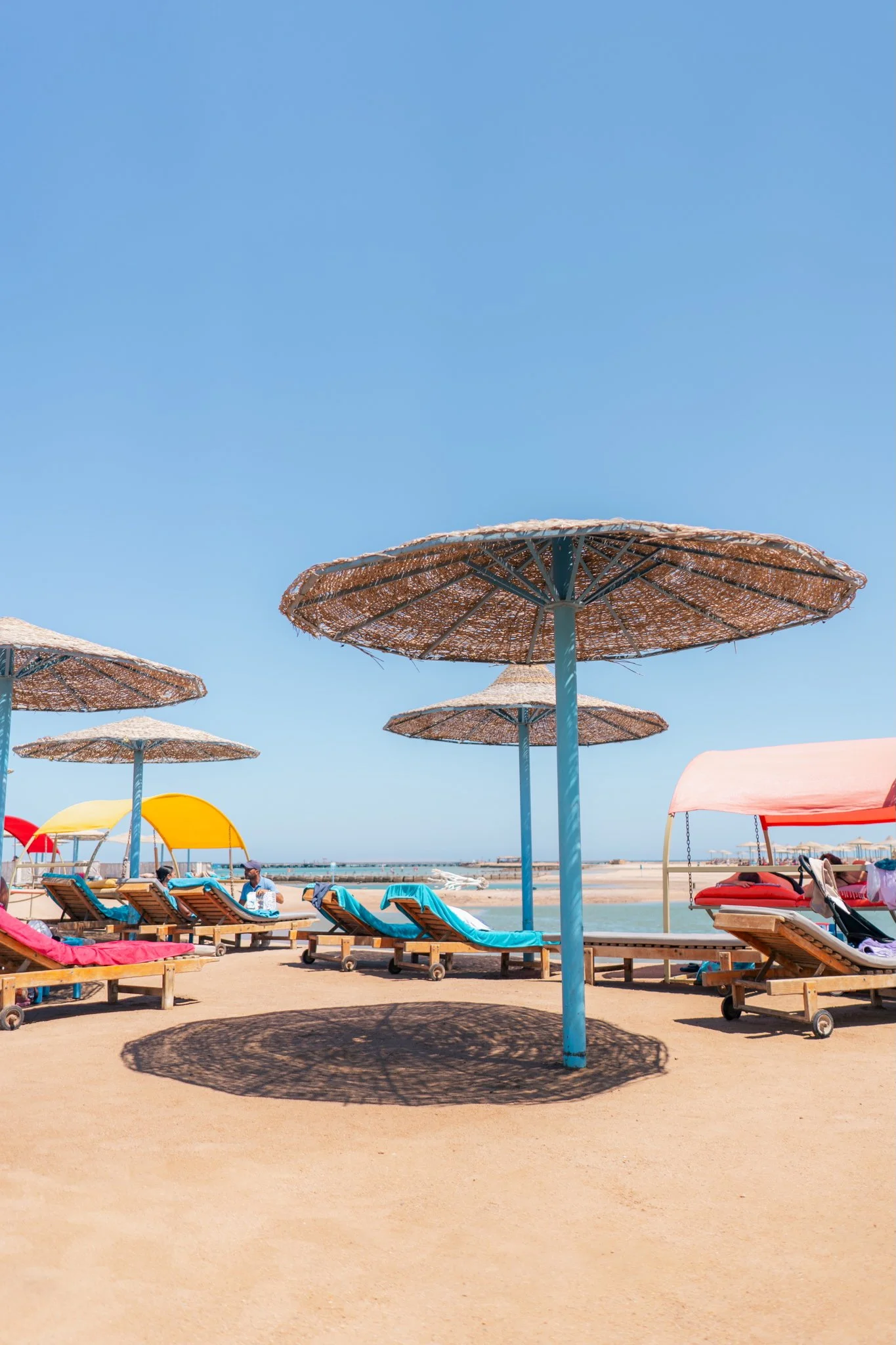 2024-05-18 (6834).jpeg