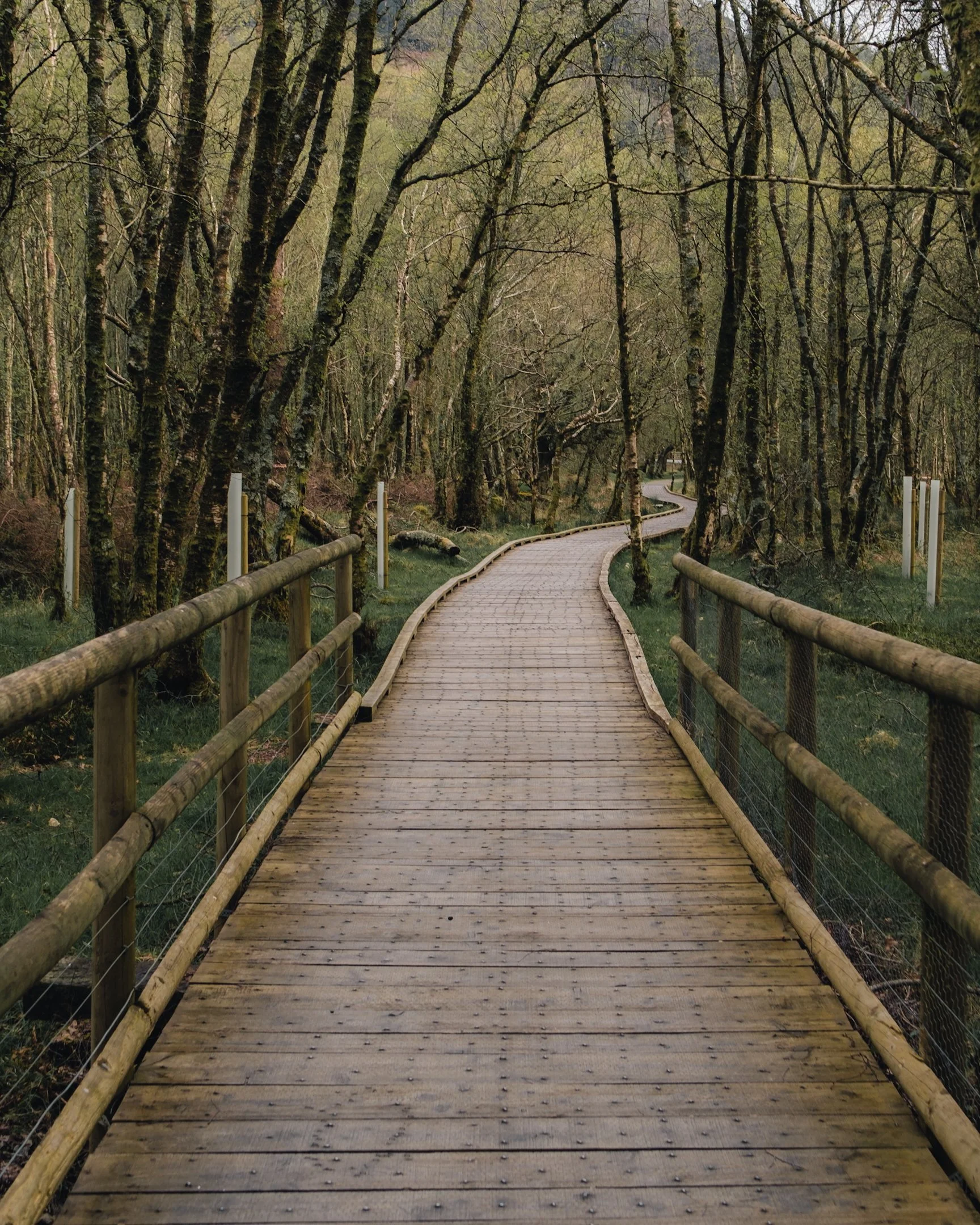 2024-05-18 (4960).jpeg