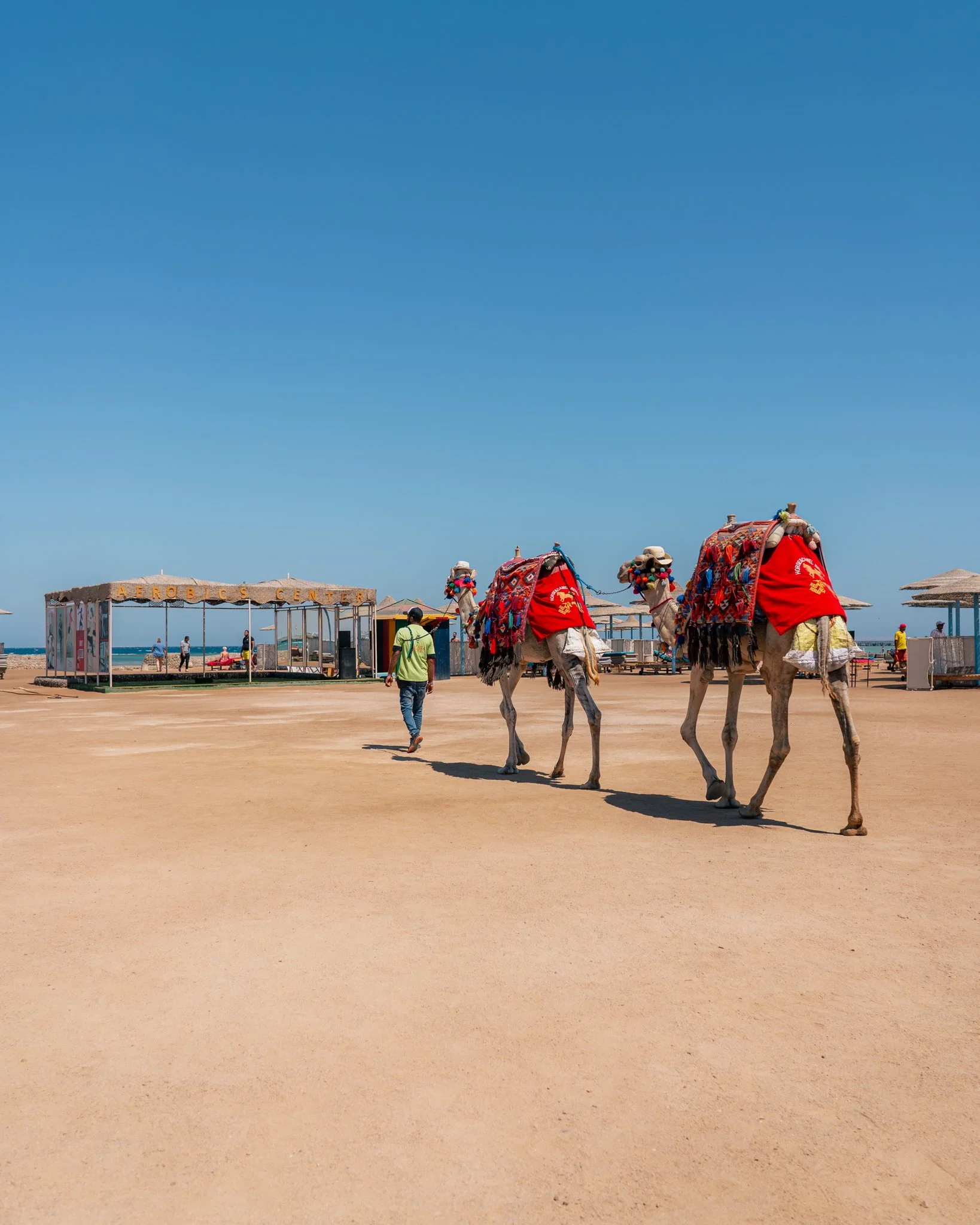 2024-05-18 (6828).jpeg