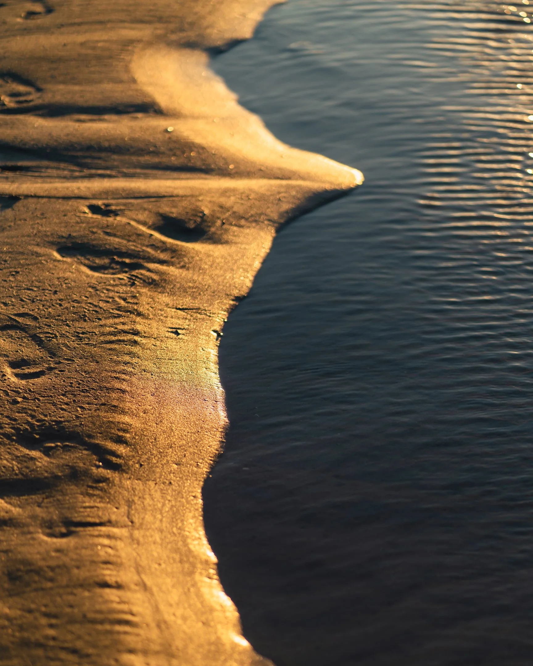 2024-05-18 (5635).jpeg