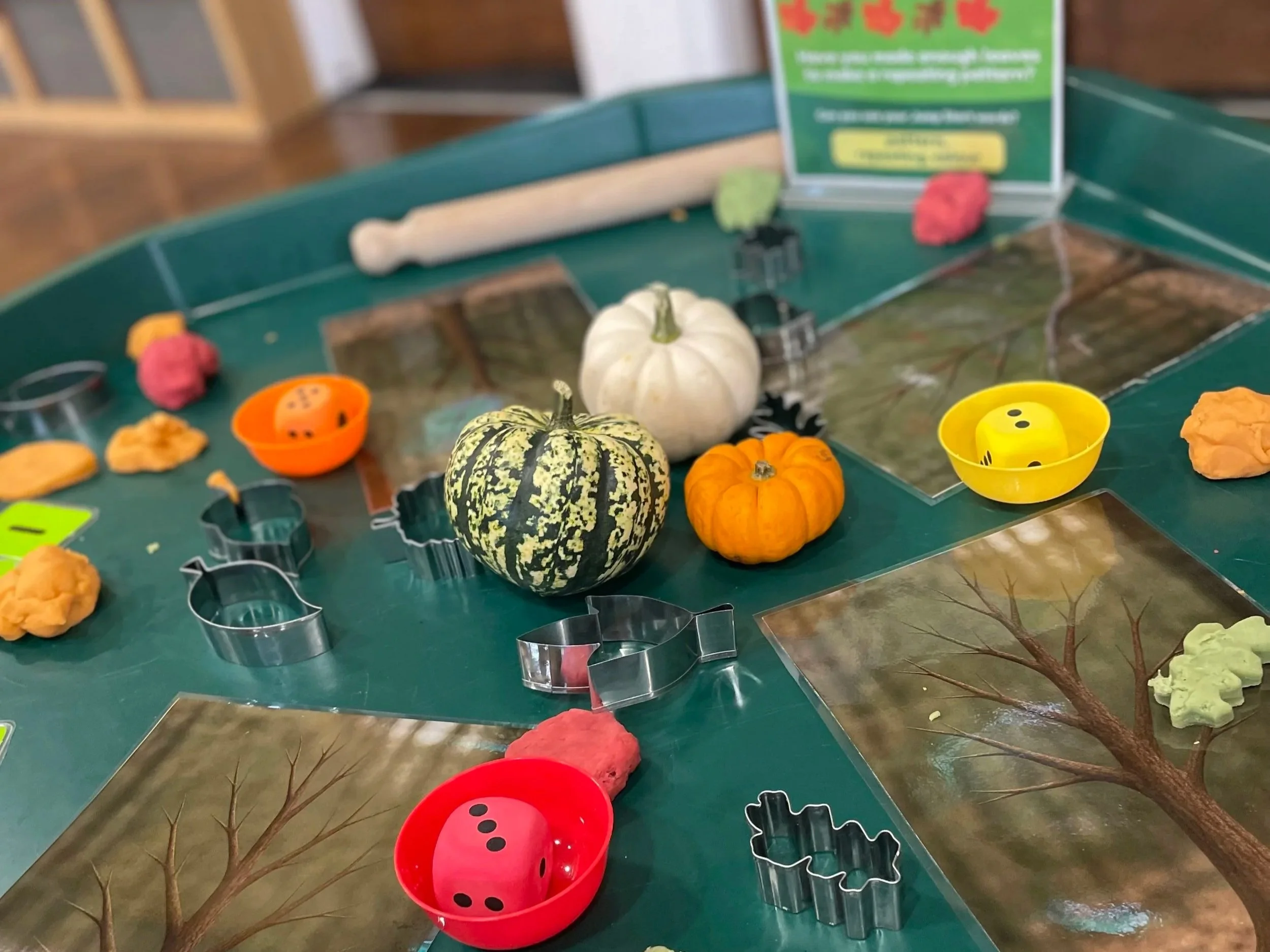 What Schools Really Hope Your Child Can Do in Maths by January in Reception