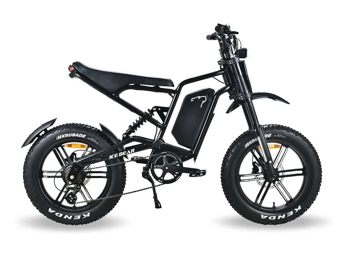 ICE BEAR E-BIKE EBA216X980