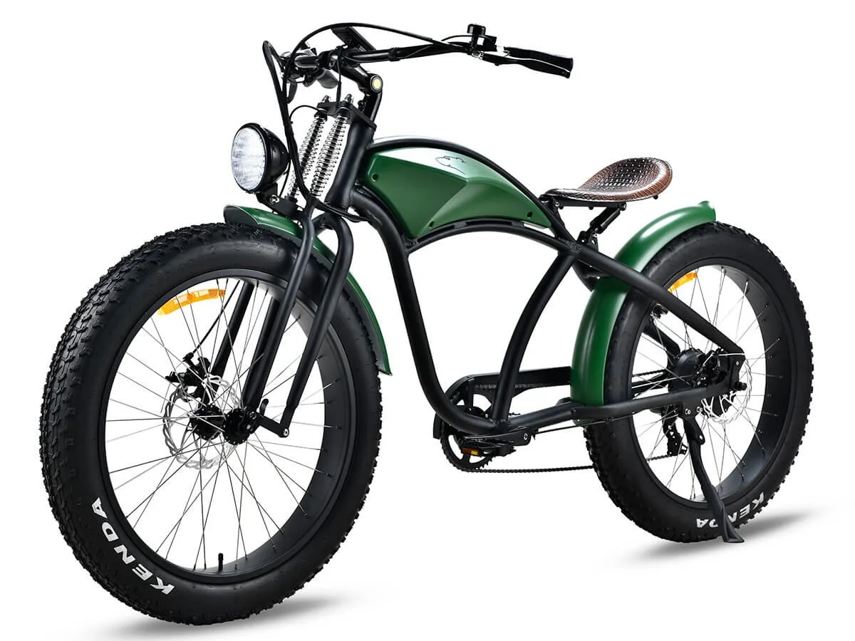 ICE BEAR E-BIKE EBA218X500
