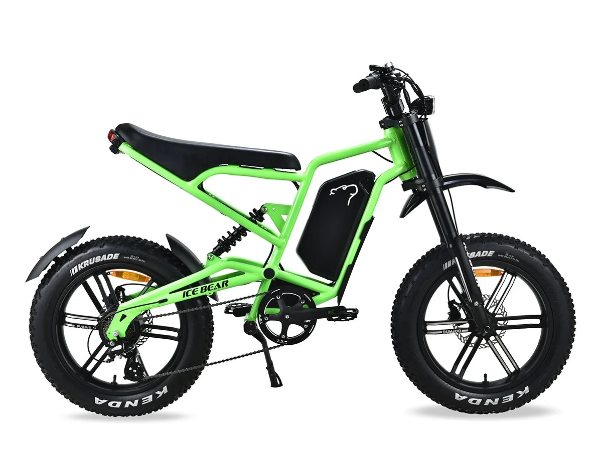 ICE BEAR E-BIKE EBA216X980