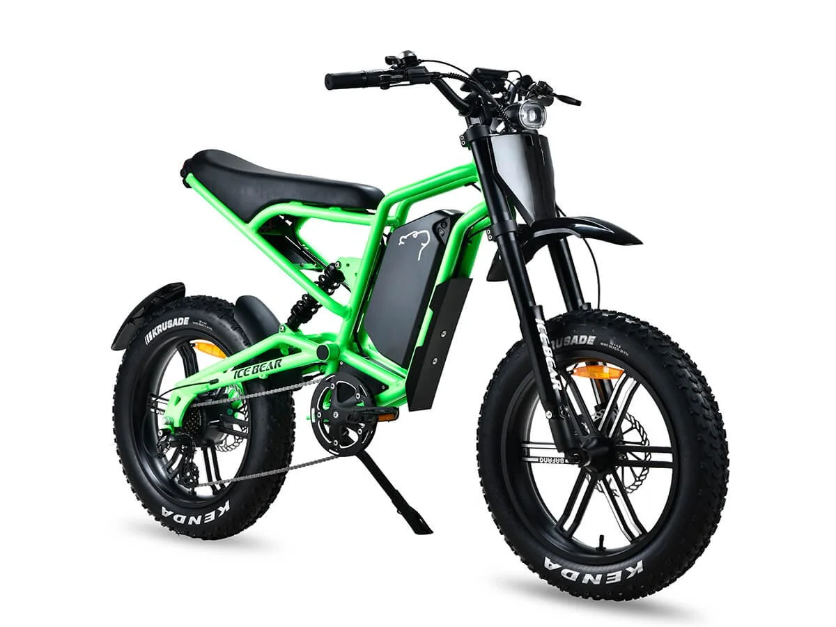ICE BEAR E-BIKE EBA216X980
