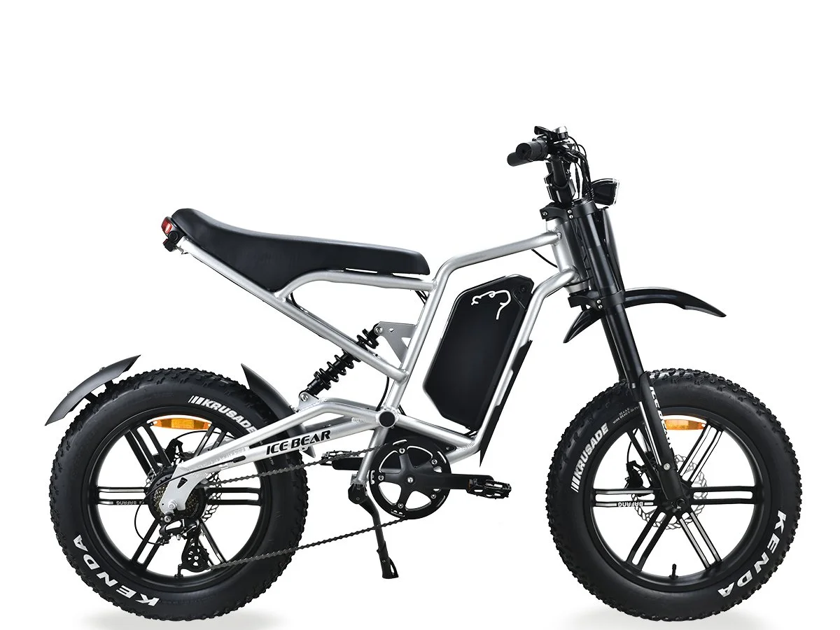 ICE BEAR E-BIKE EBA216X980