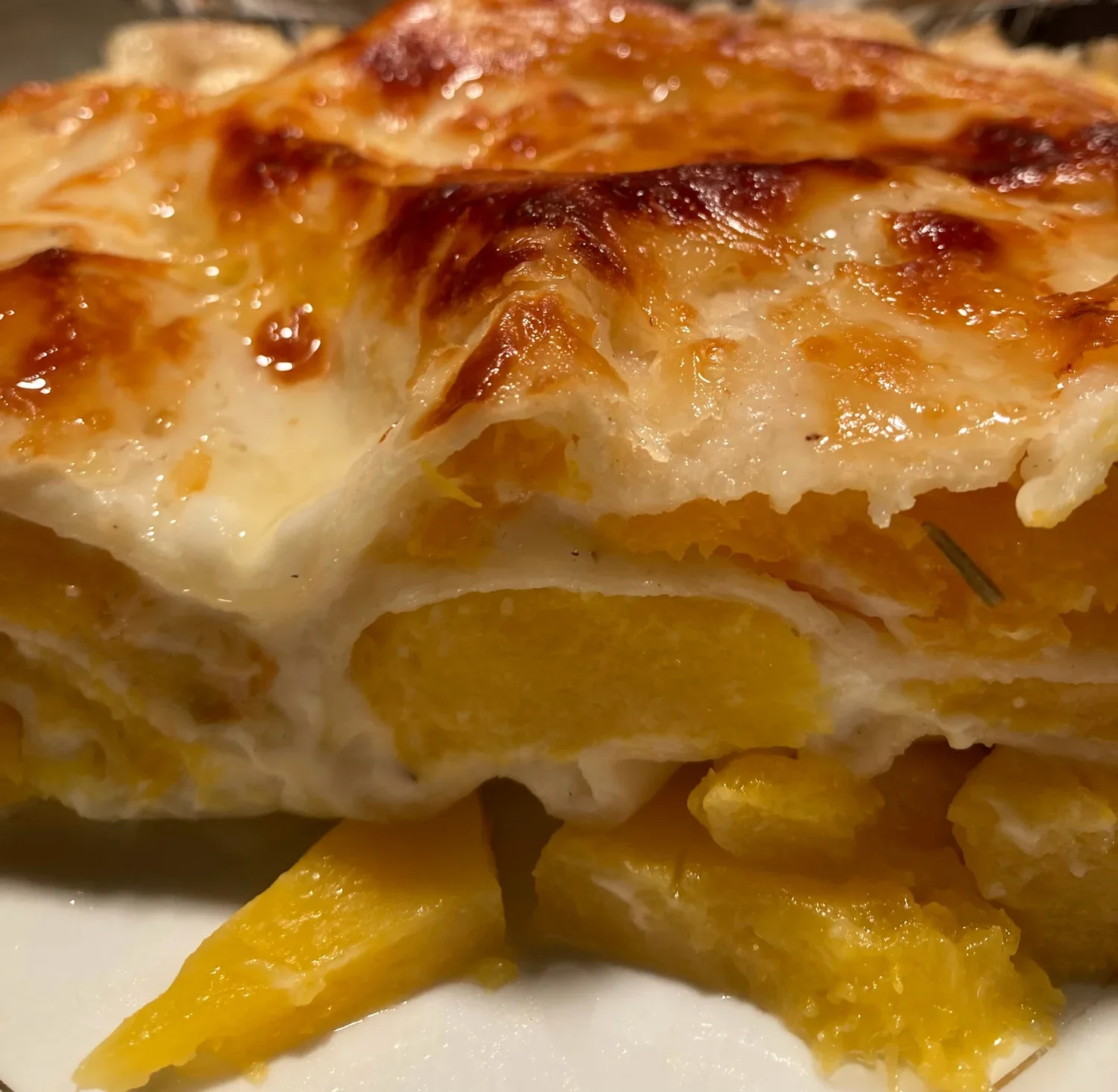 Butternut Squash Lasagna