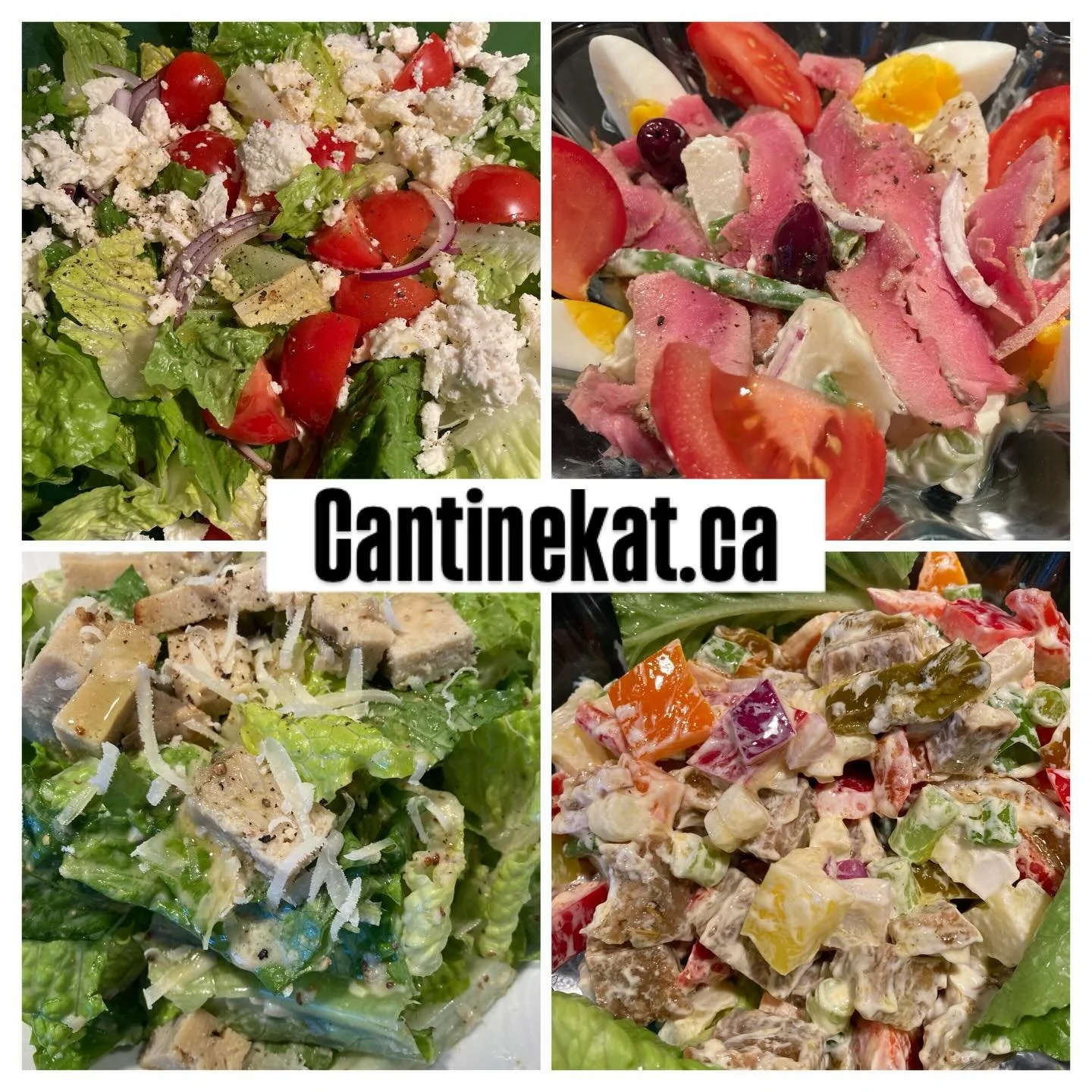 Nicoise, Caesar, Greek, Tochicken