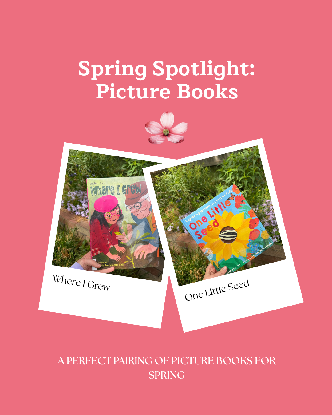 Spring Spotlight: Picture Books