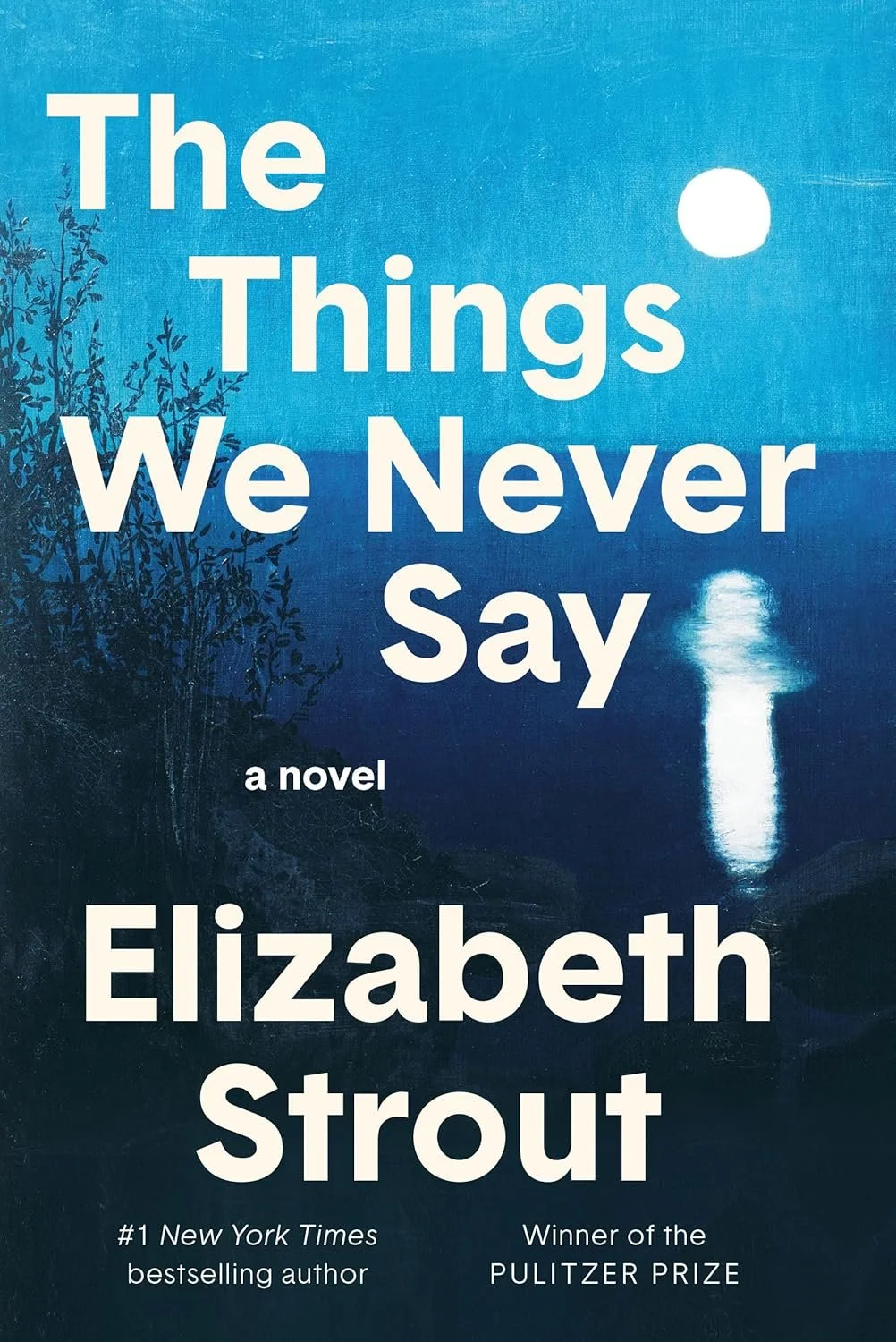 Book Review: The Things We Never Say