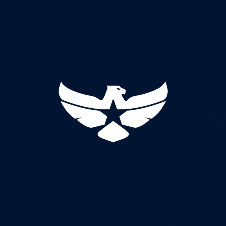 VBG_logo_reveal.gif