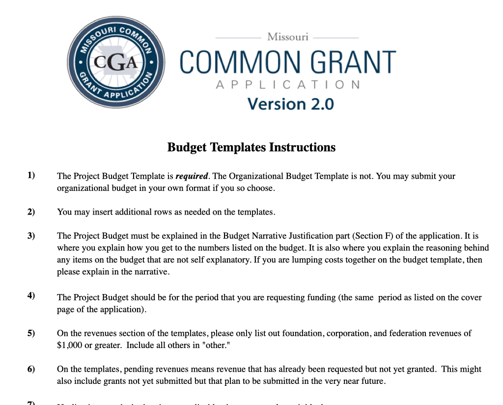 Organizational Budget Template