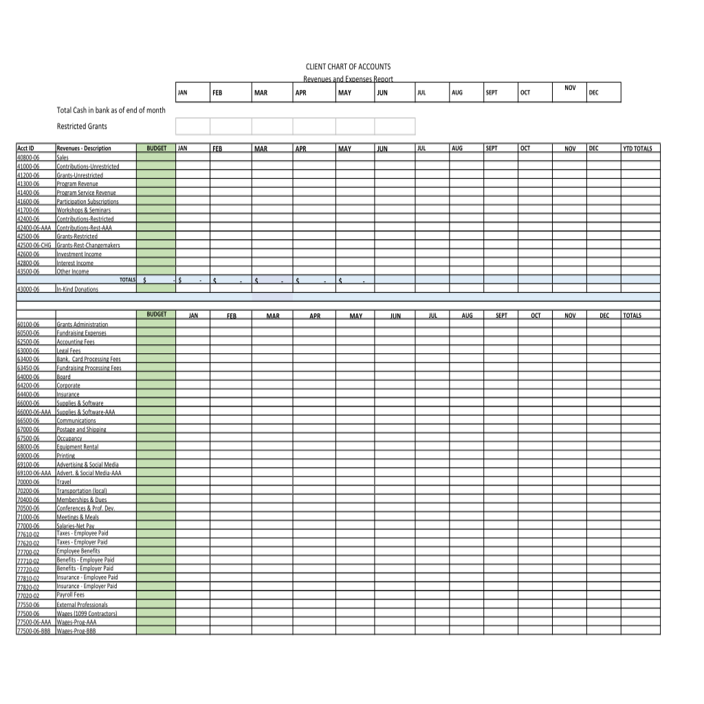 Chart of Accounts (CoA) and Revenue-Expense Reporting Template