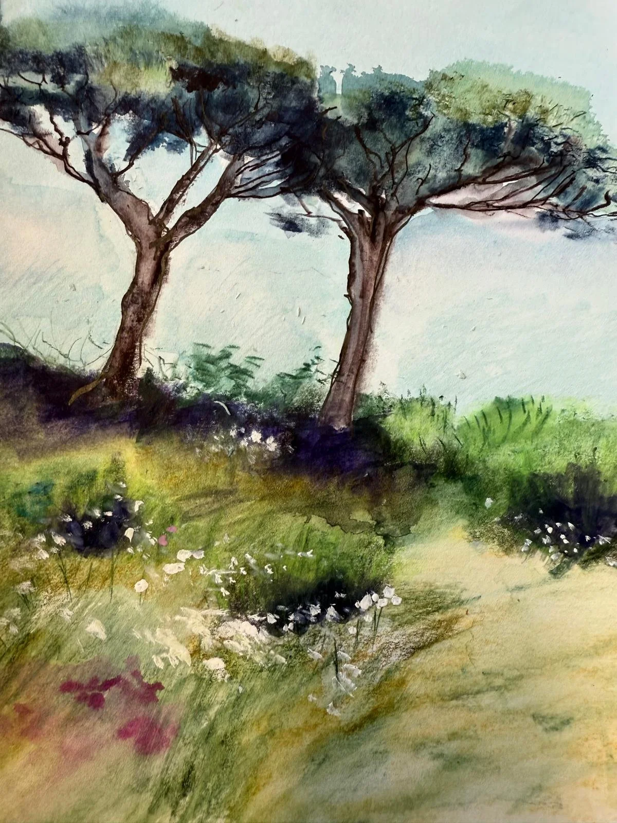 WhatsApp Image 2025-06-03 at 12.06.13 (2).jpeg