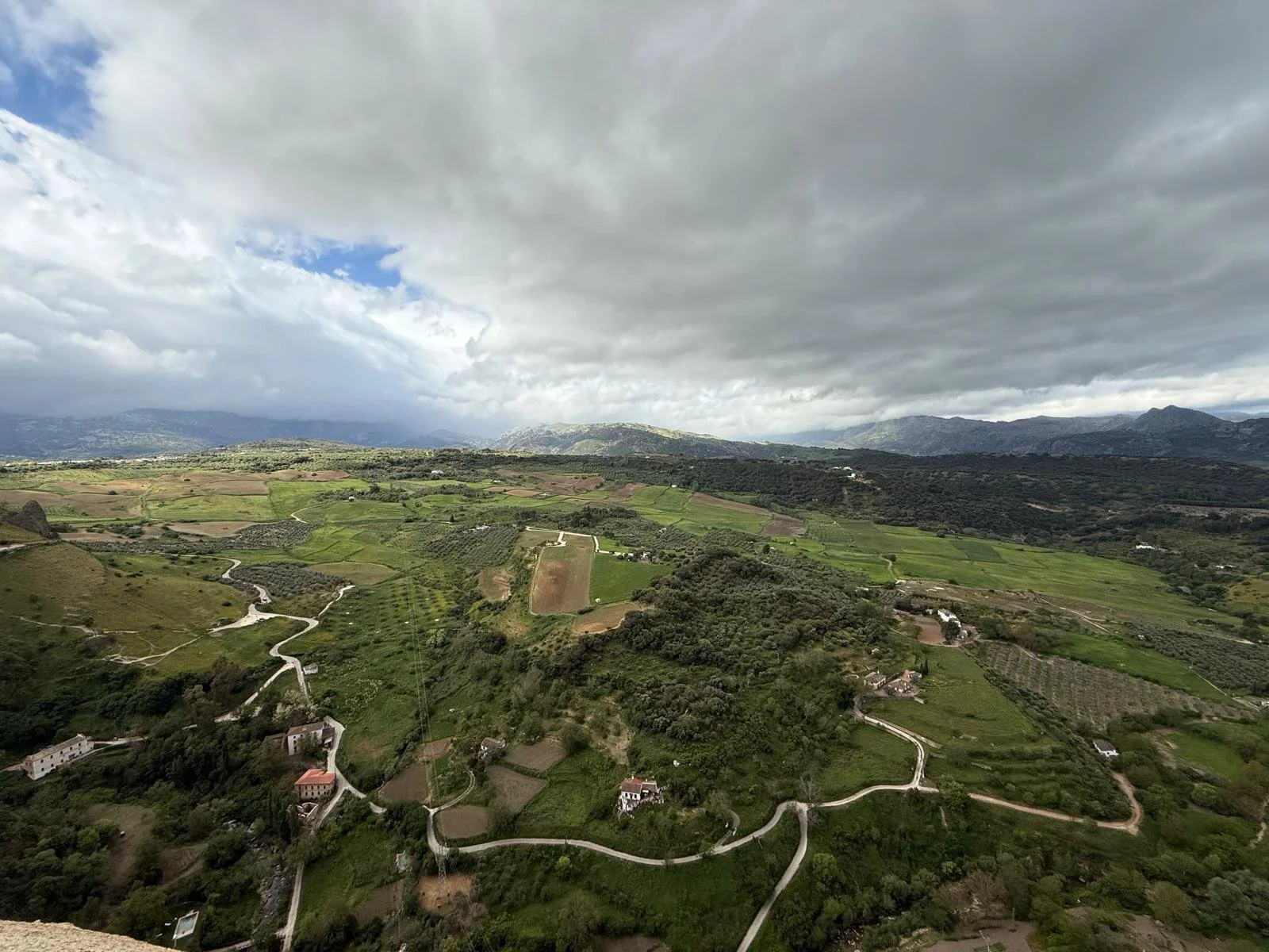 WhatsApp Image 2025-06-03 at 13.45.08.jpeg