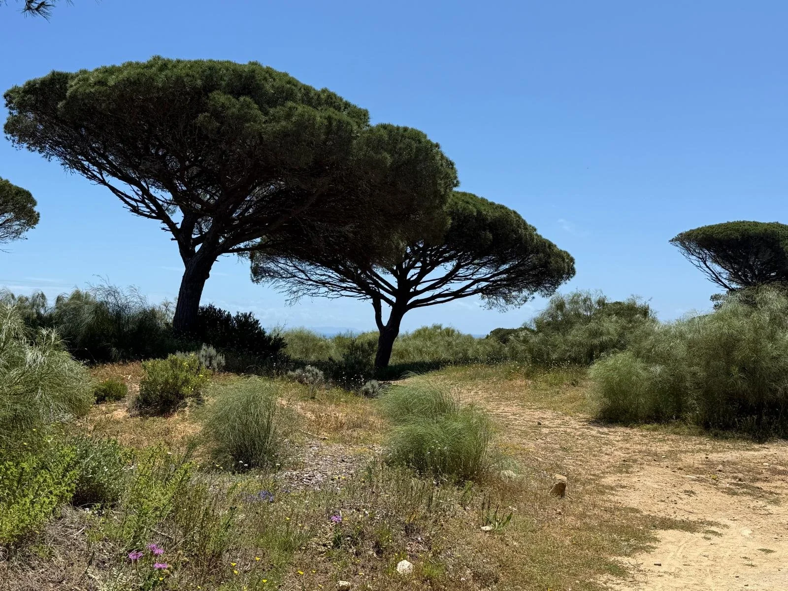 WhatsApp Image 2025-06-03 at 13.46.23.jpeg