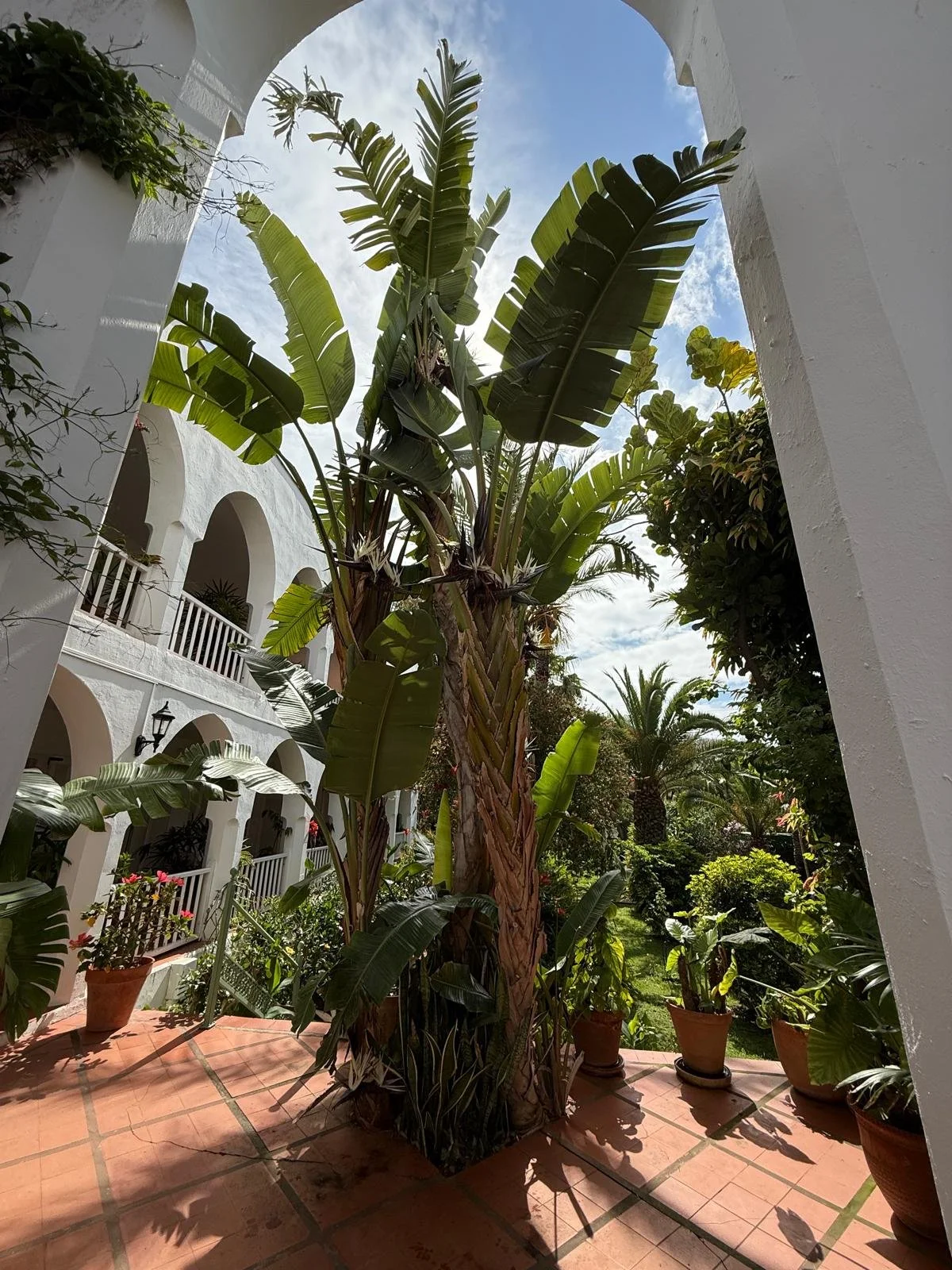 WhatsApp Image 2025-06-03 at 13.49.01.jpeg