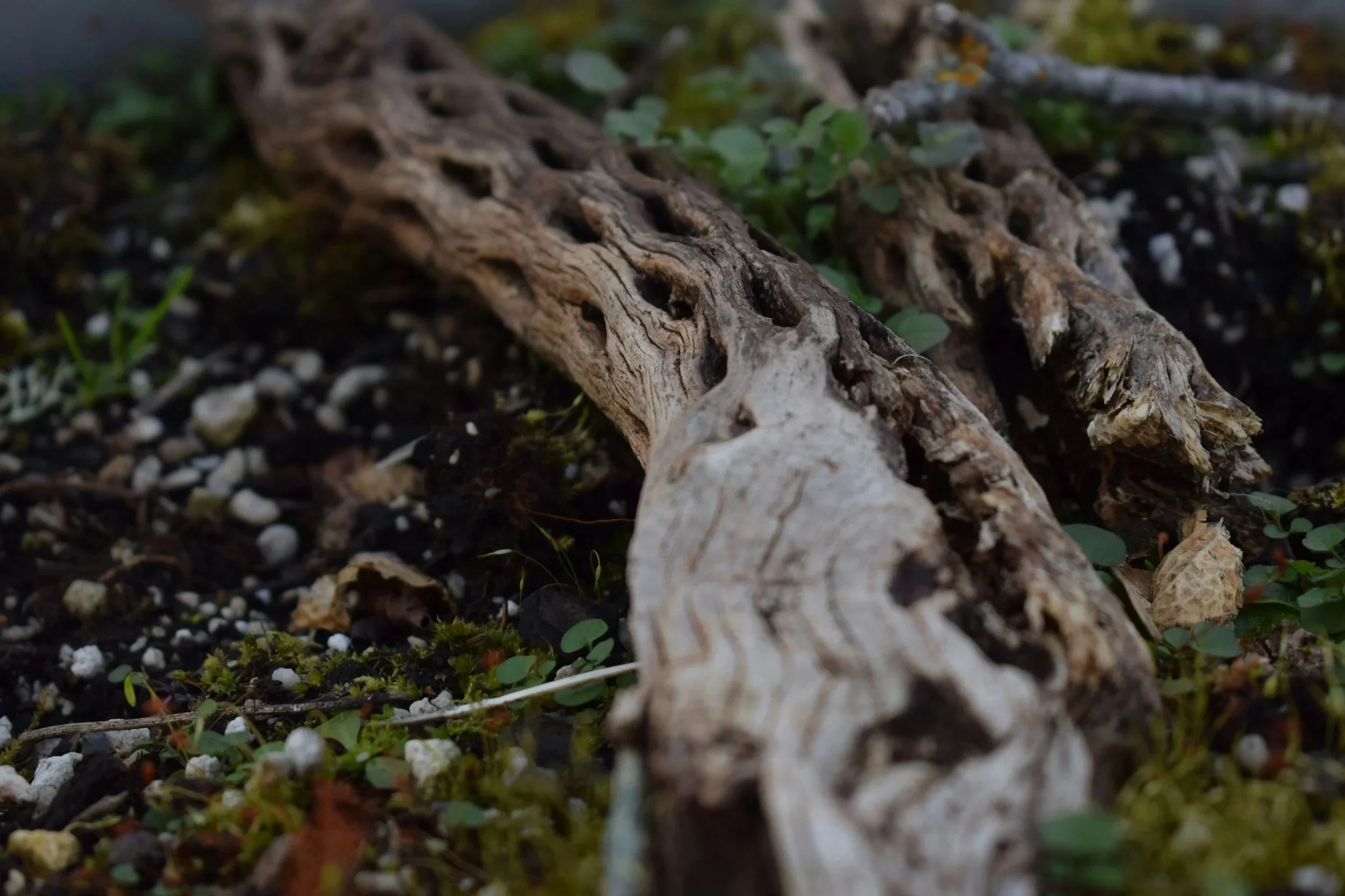 “She told me and I remember knowing”