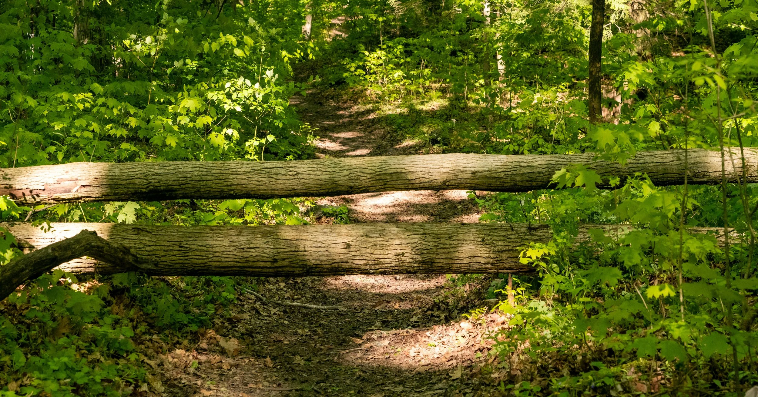 How I Learned Resilience Is Not Toughness. It Is Recovery.