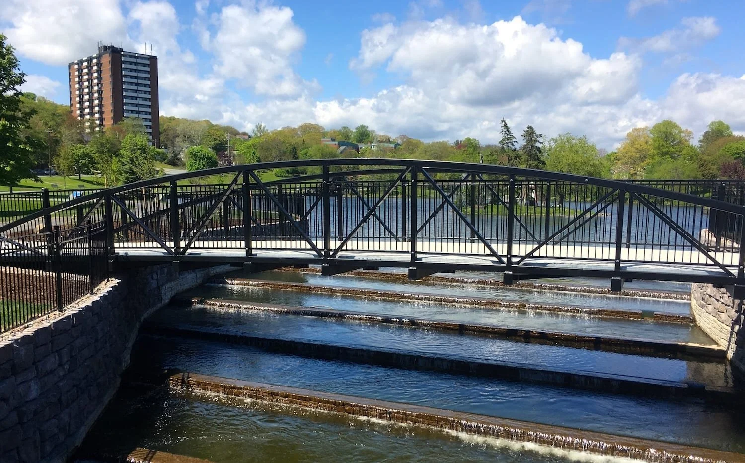 pedestrian-stream-crossing.jpeg