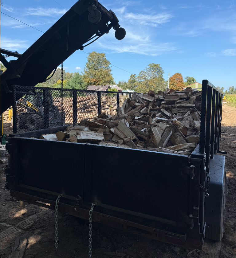 Firewood Myths Busted: Bark, Bugs, and Burn Time