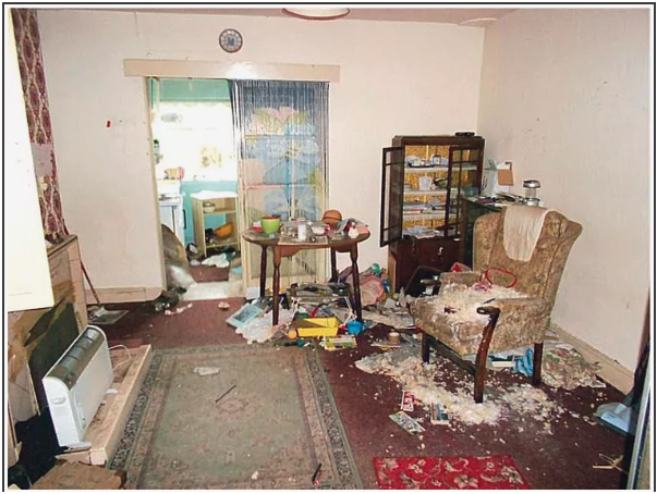 A cluttered living room with a patterned area rug, an upholstered armchair, a bookshelf, and various scattered items and trash on the floor. A doorway leads to a kitchen or another room with a table, and there is a window with curtains.