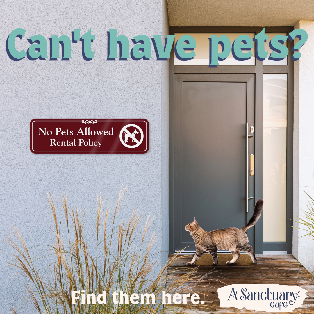 cant have pets.png