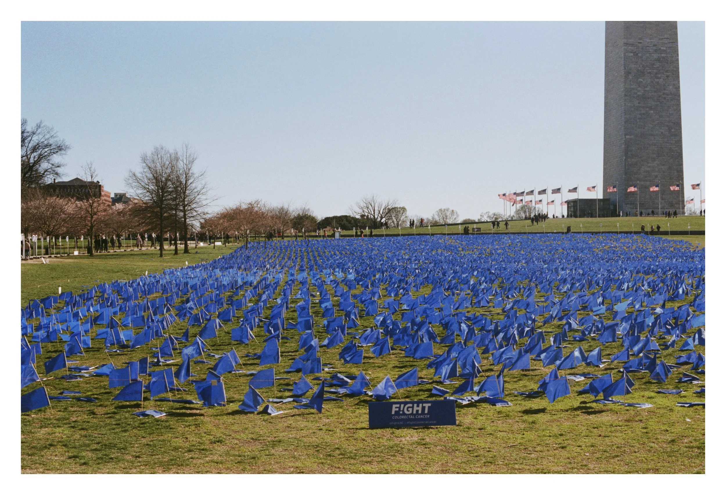 A large field of small blue flags on grass near the Washington Monument, with a sign labeled 'FIGHT COLORECTAL CANCER' in the foreground, American flags in the background, and trees lining the path.