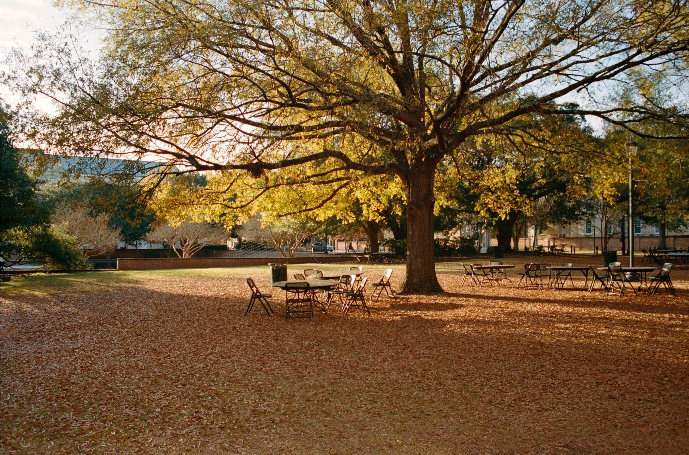 University of South Carolina