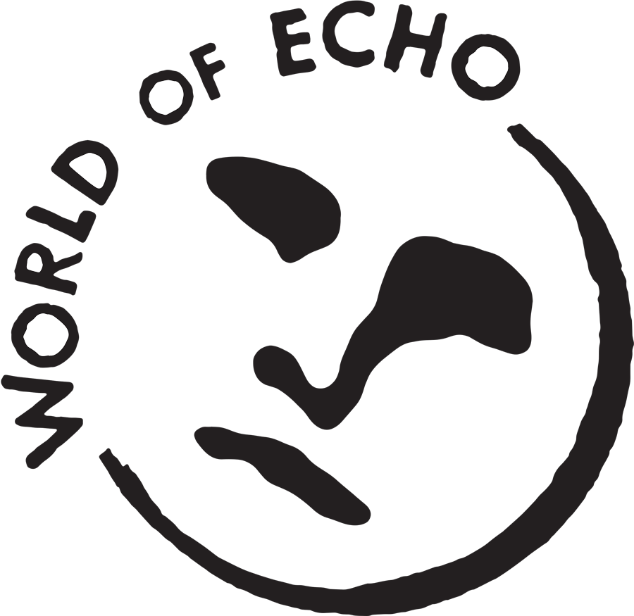 World+of+Echo.webp