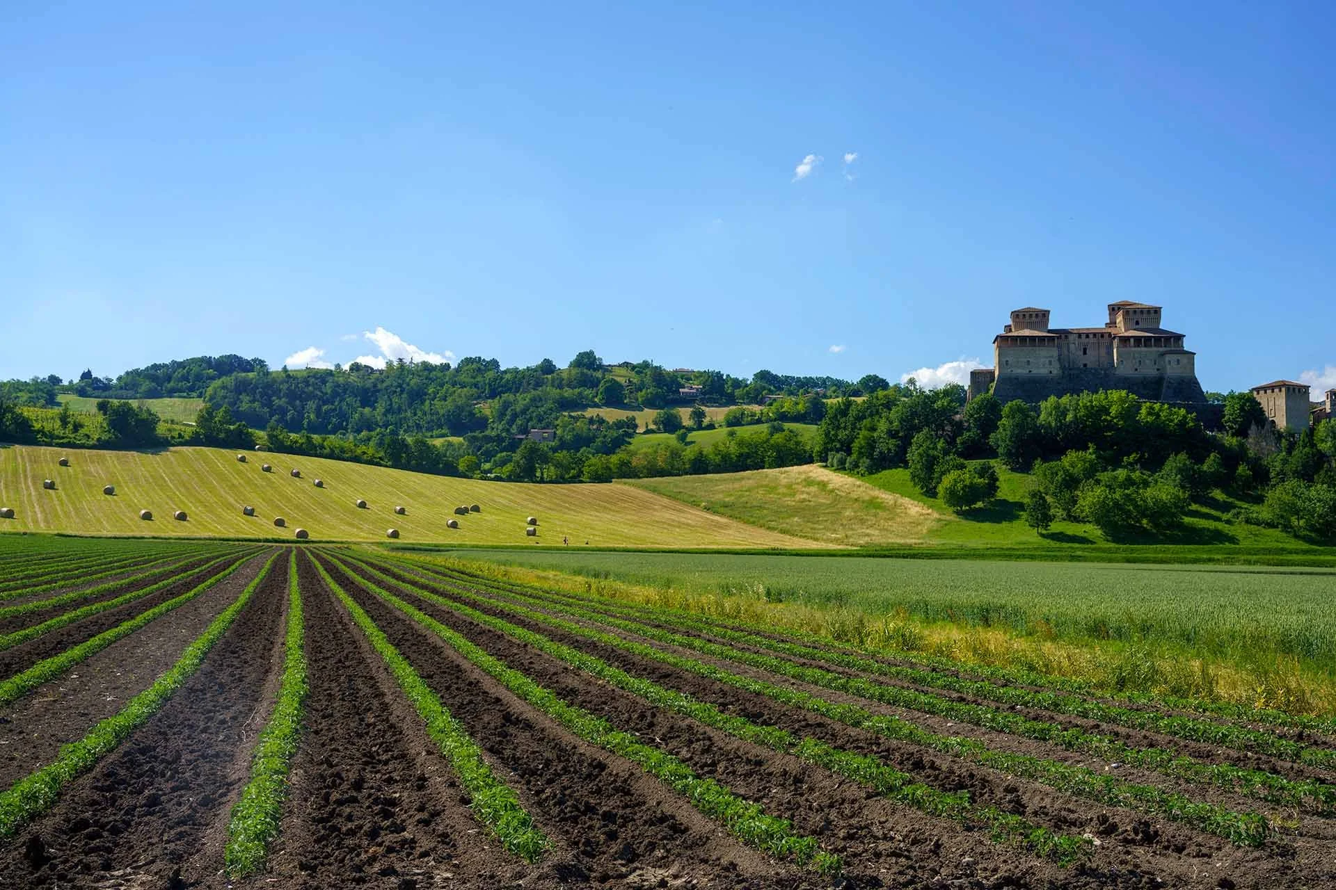 Pavimenti in resina per caseifici e aziende agricole