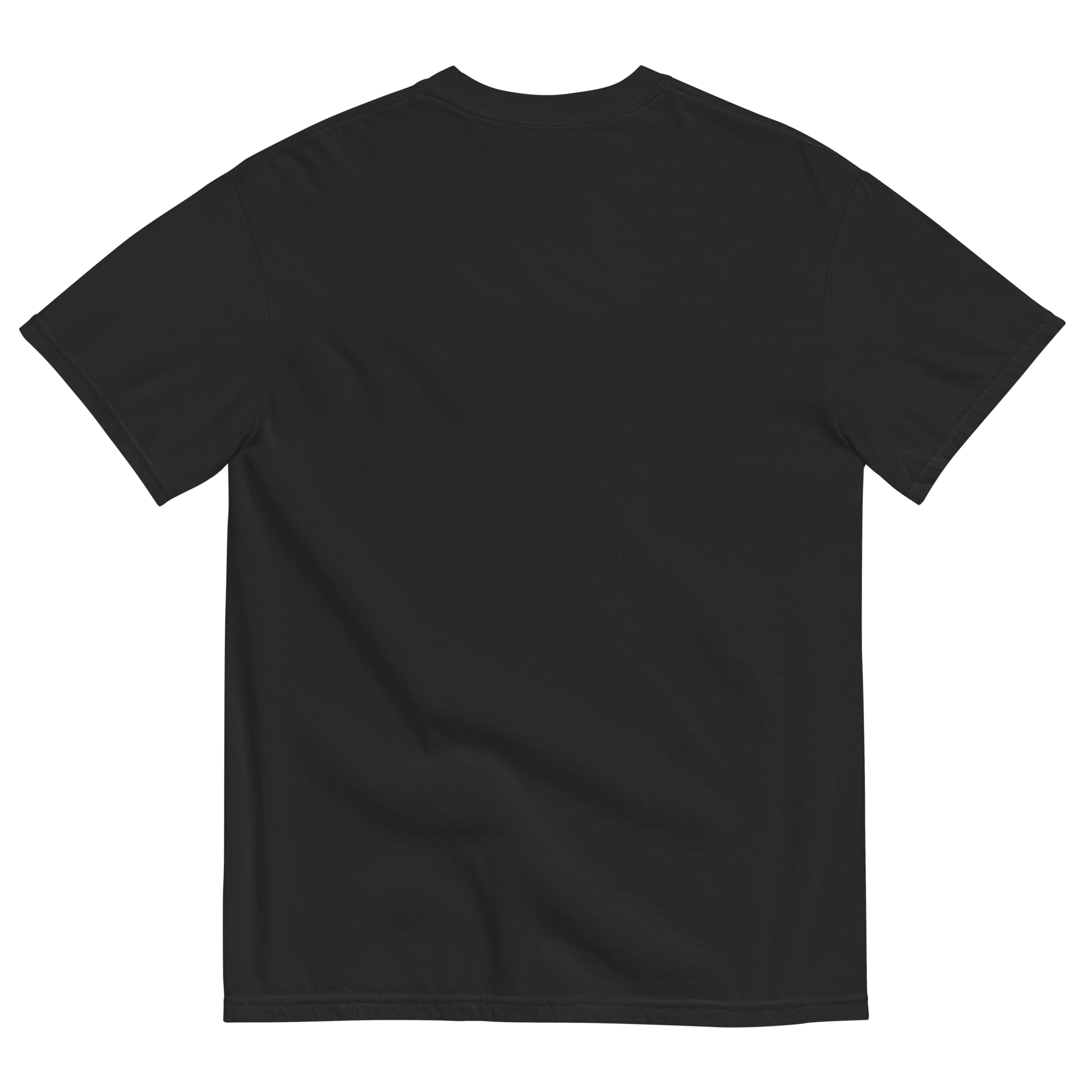 unisex-garment-dyed-heavyweight-t-shirt-black-back-689b59647dbab.png