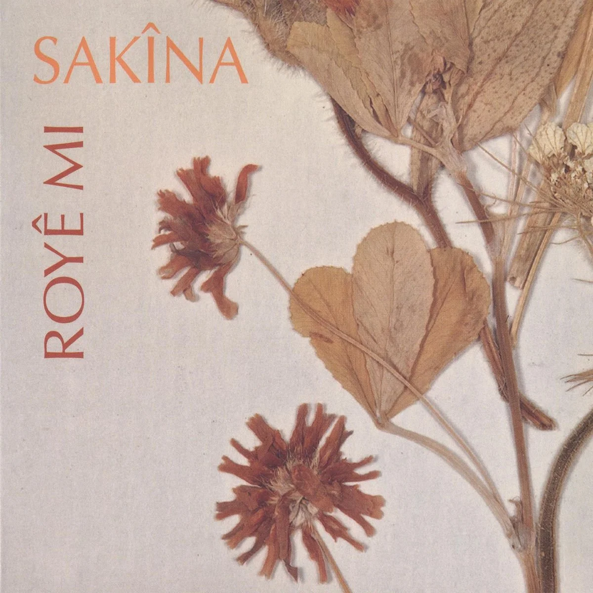 Sakîna - Roy mi - Songs from Kurdistan 2013 ARC Music Production