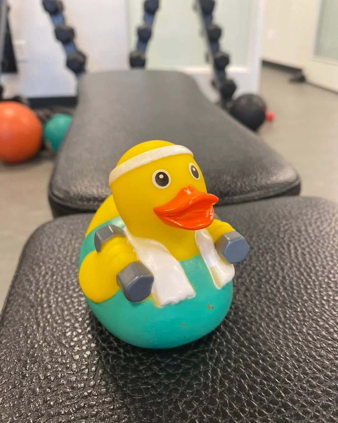 Contest Time!
This guy hasn&rsquo;t seen much action outside with this dry summer but he&rsquo;s staying in shape and we want you to give him a name!
Best name wins a one month membership at AgeRight Health and Fitness 
Rules: Follow our pages on Fac
