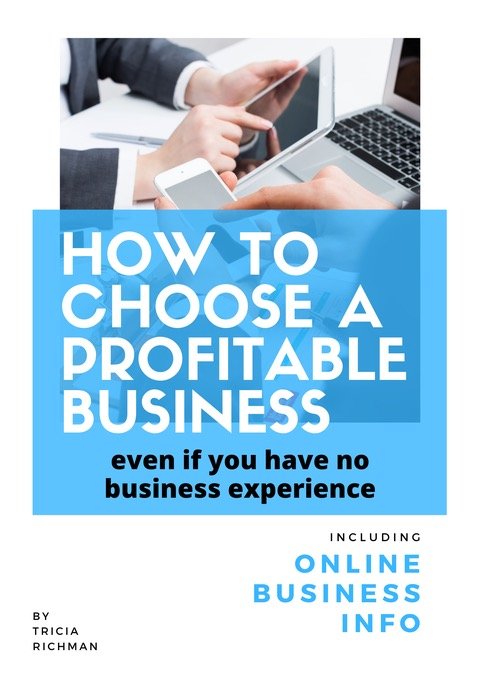 How to choose a Profitable Business Guide - even if you have no business experience. Helping you choose the right online business for you.