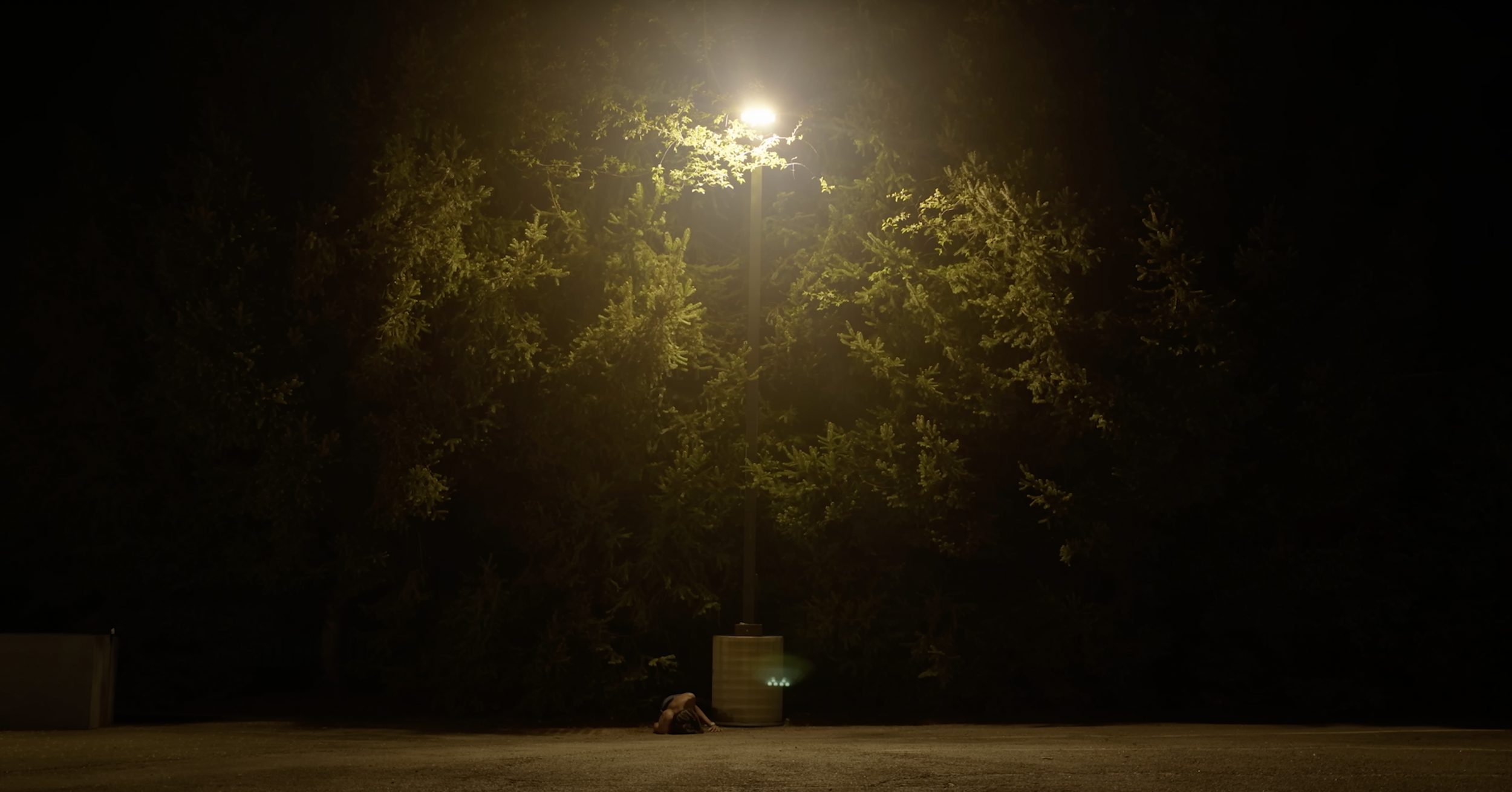 A person sitting on the ground at night next to a trash can, illuminated by a streetlamp, surrounded by trees in darkness.