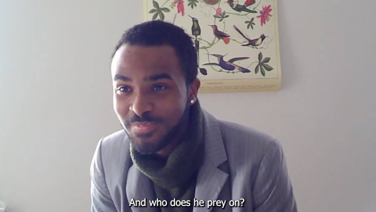 A man dressed in a gray suit with a dark scarf around his neck, sitting indoors in front of a white wall with a colorful bird and floral artwork. Subtitles read: 'And who does he prey on?'