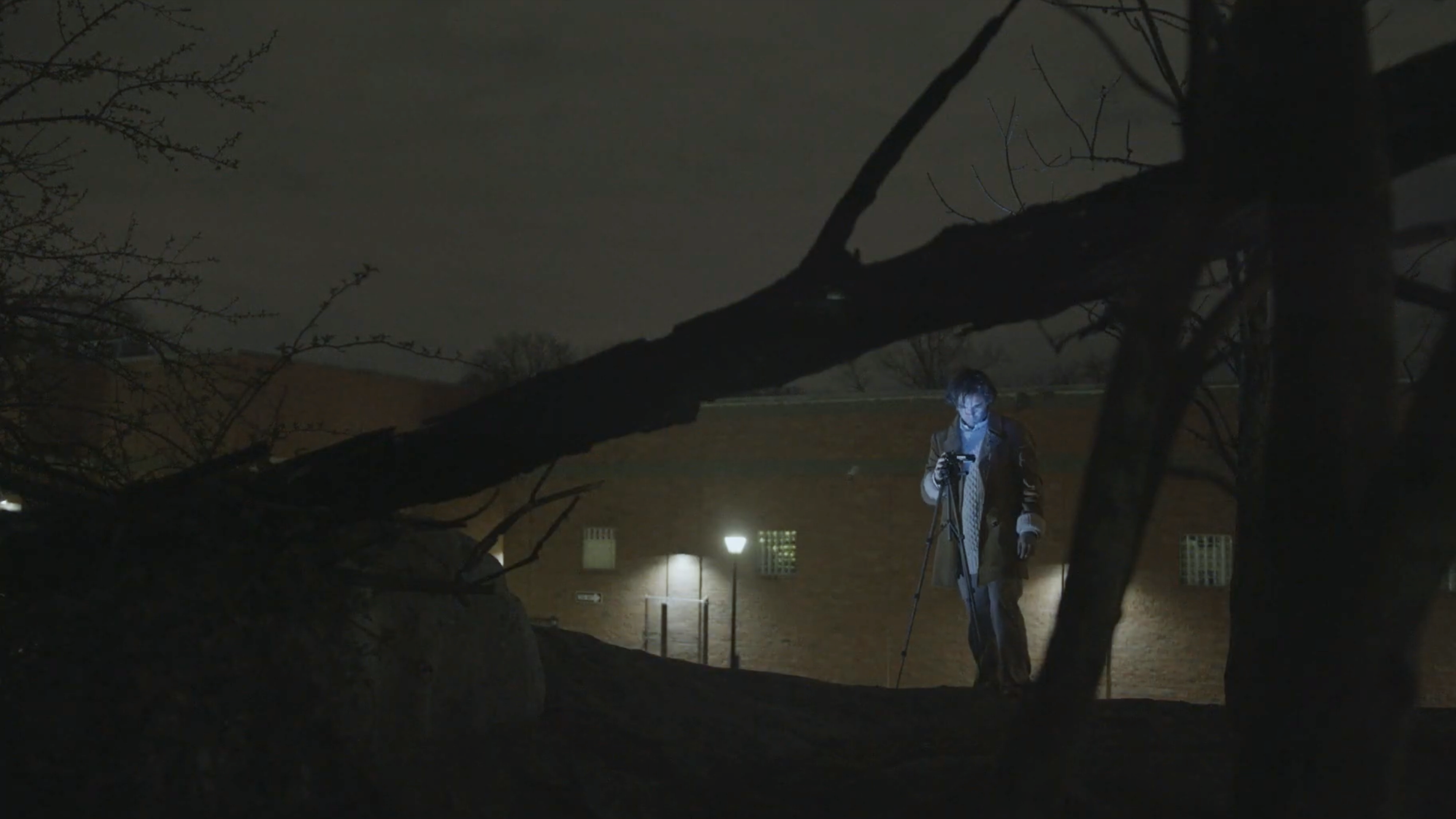 A person standing outside at night illuminated by a handheld device, with a fallen tree branch overhead and a brick building in the background.