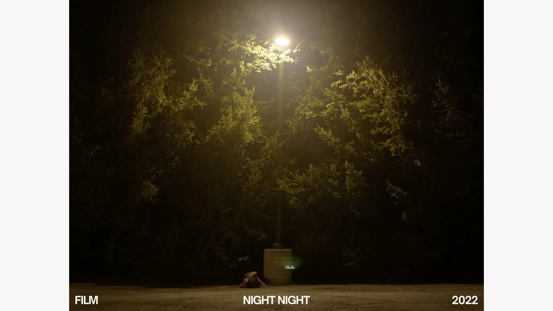 A streetlamp illuminating surrounding trees at night with a person sitting on the ground near the base of the streetlamp.