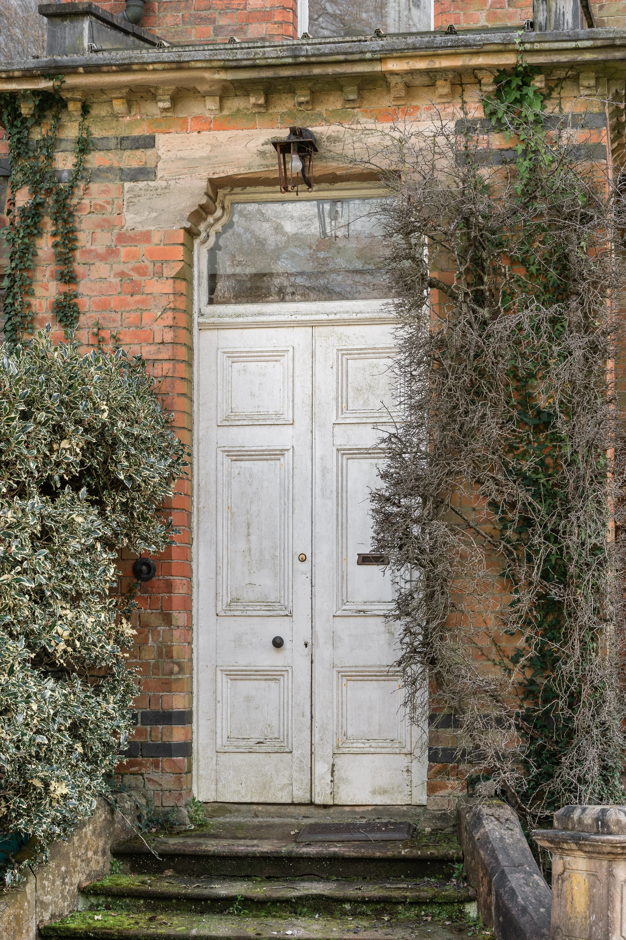Peter Bruce Photography-05933.jpg