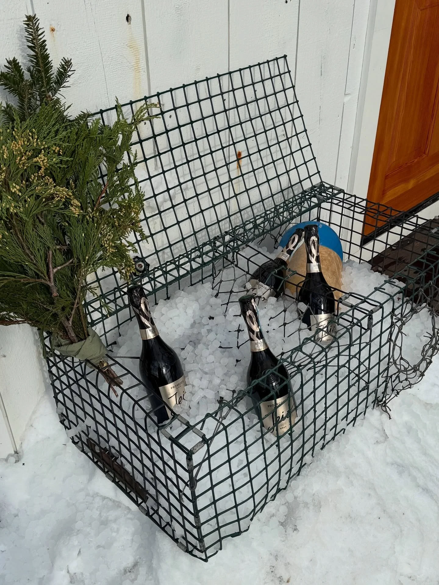 Thank you to our community for all the support in our (re) opening year! A few photos from our NYE party 🎉