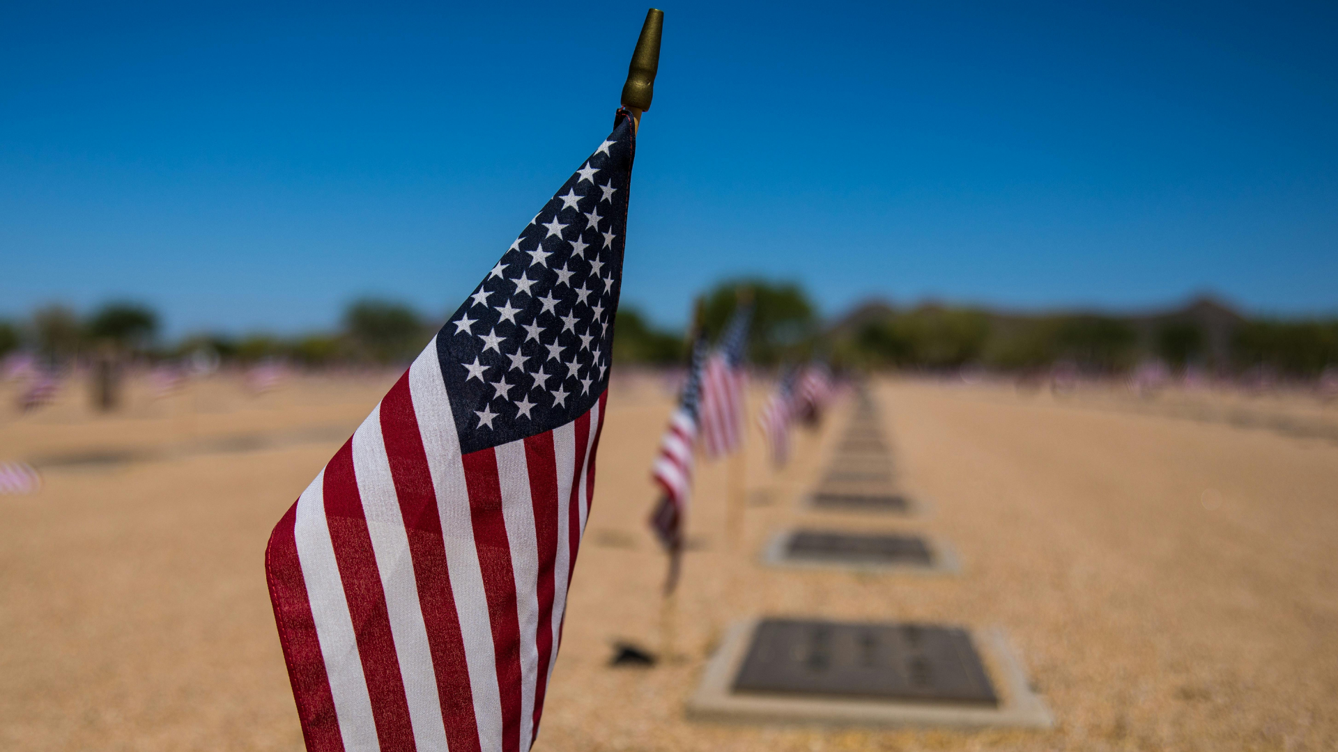 Honoring Loss, Memory, and Emotional Healing on Memorial Day