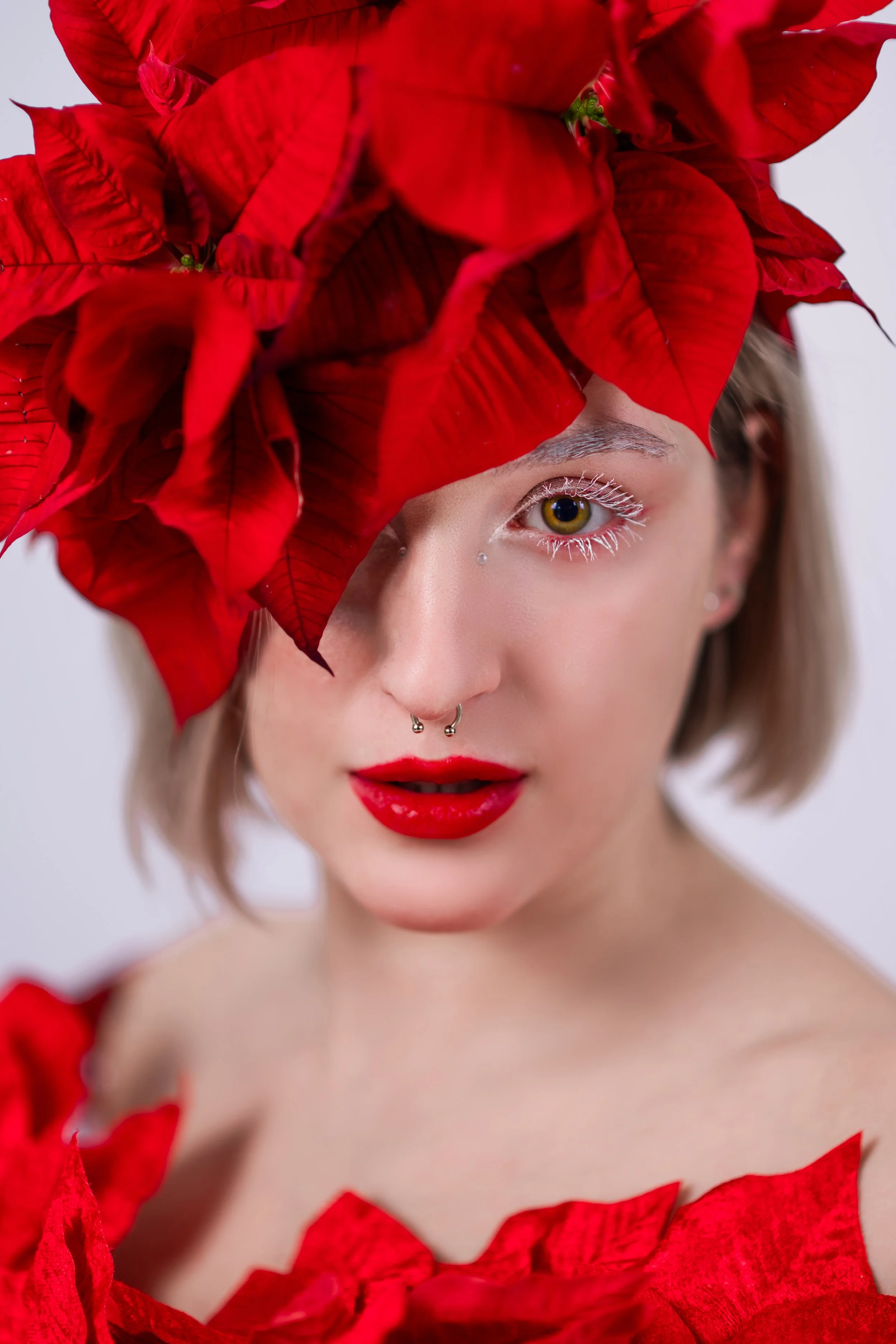 20251120_ChristinaRossy_PortraitPoinsettia_FINAL-07.jpg