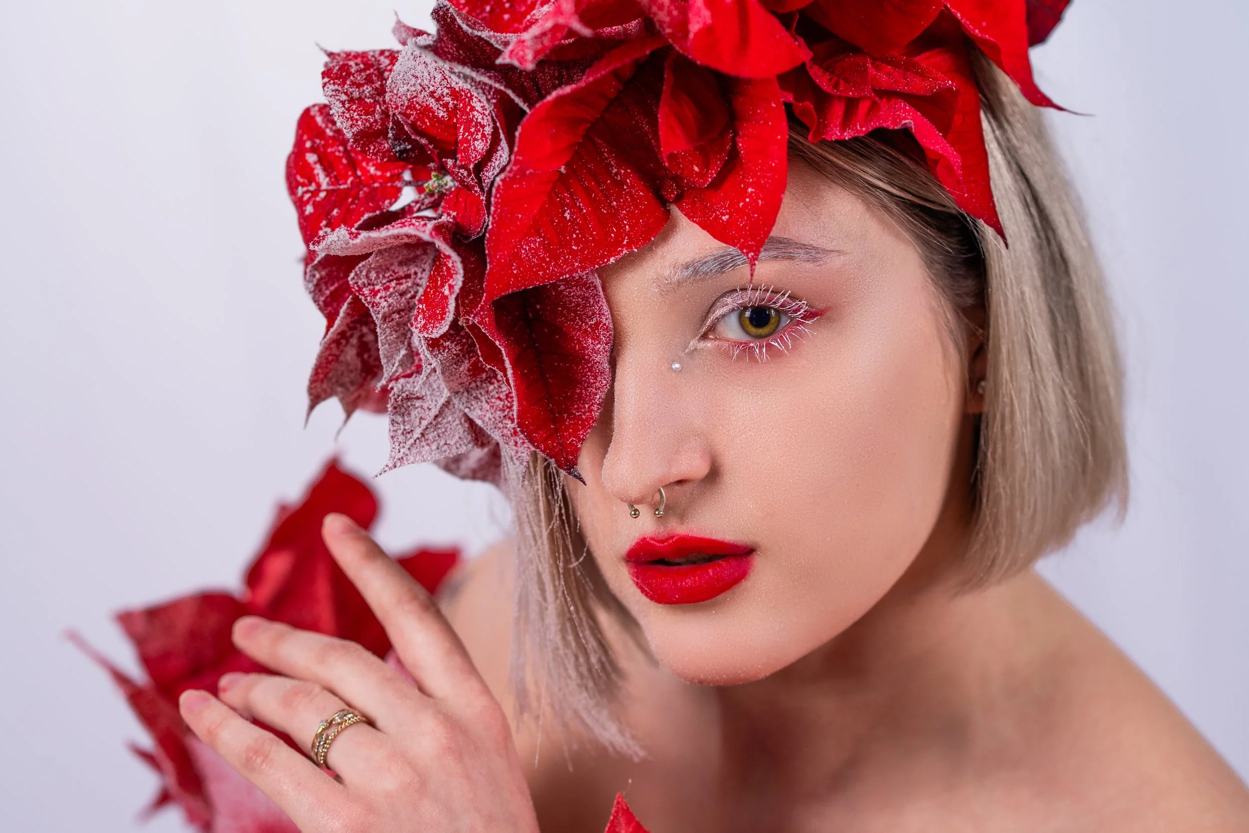 20251120_ChristinaRossy_PortraitPoinsettia_FINAL-05.jpg