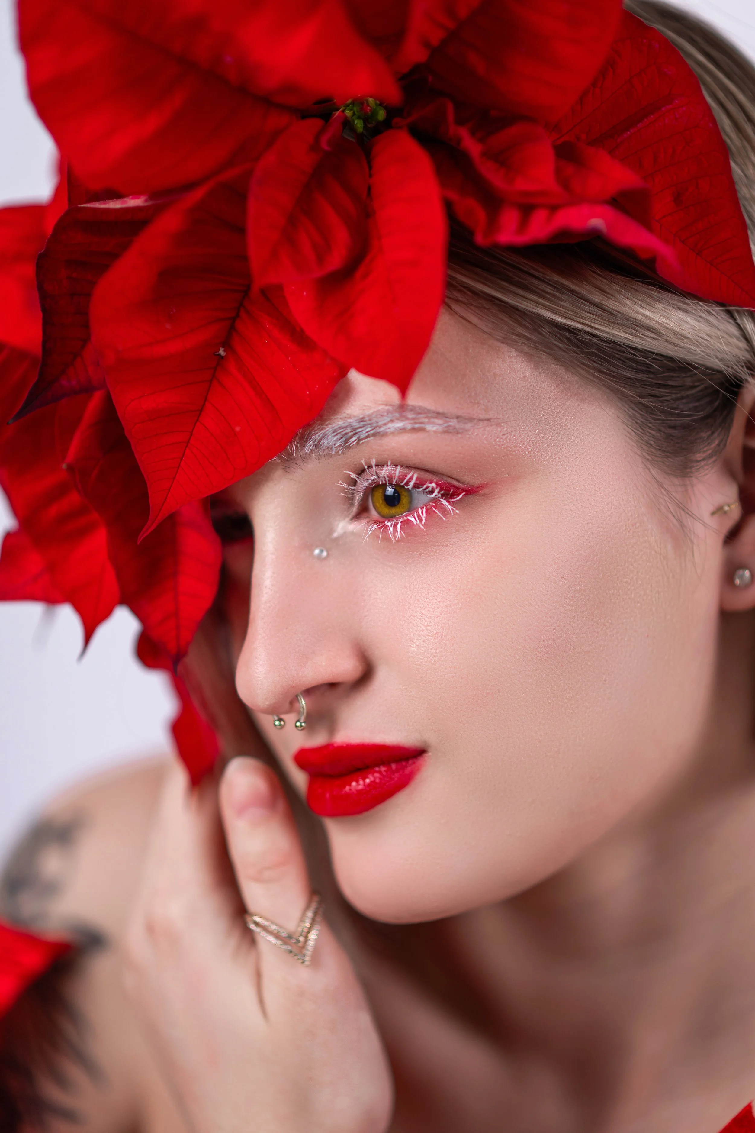 20251120_ChristinaRossy_PortraitPoinsettia_FINAL-06.jpg