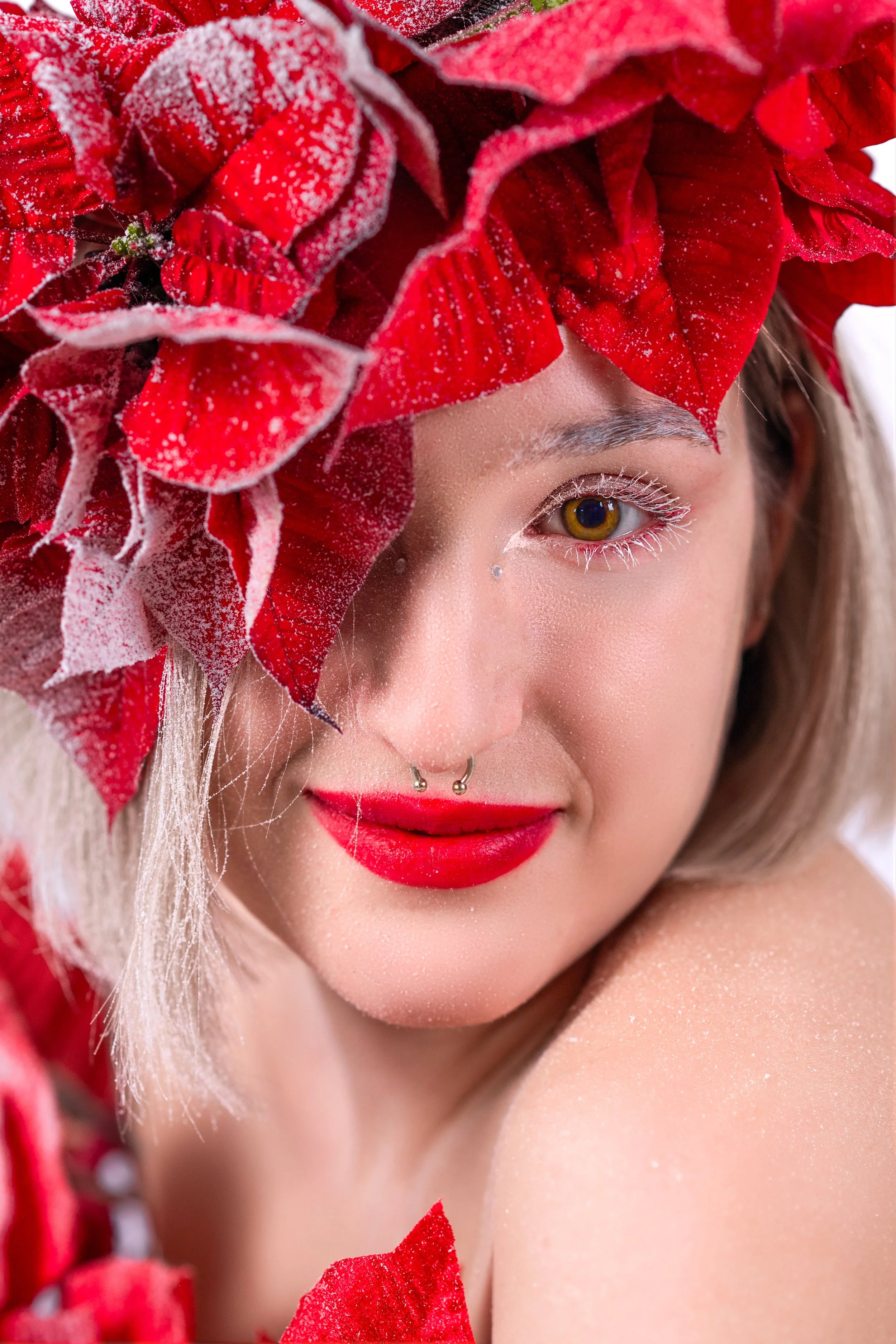 20251120_ChristinaRossy_PortraitPoinsettia_FINAL-03.jpg