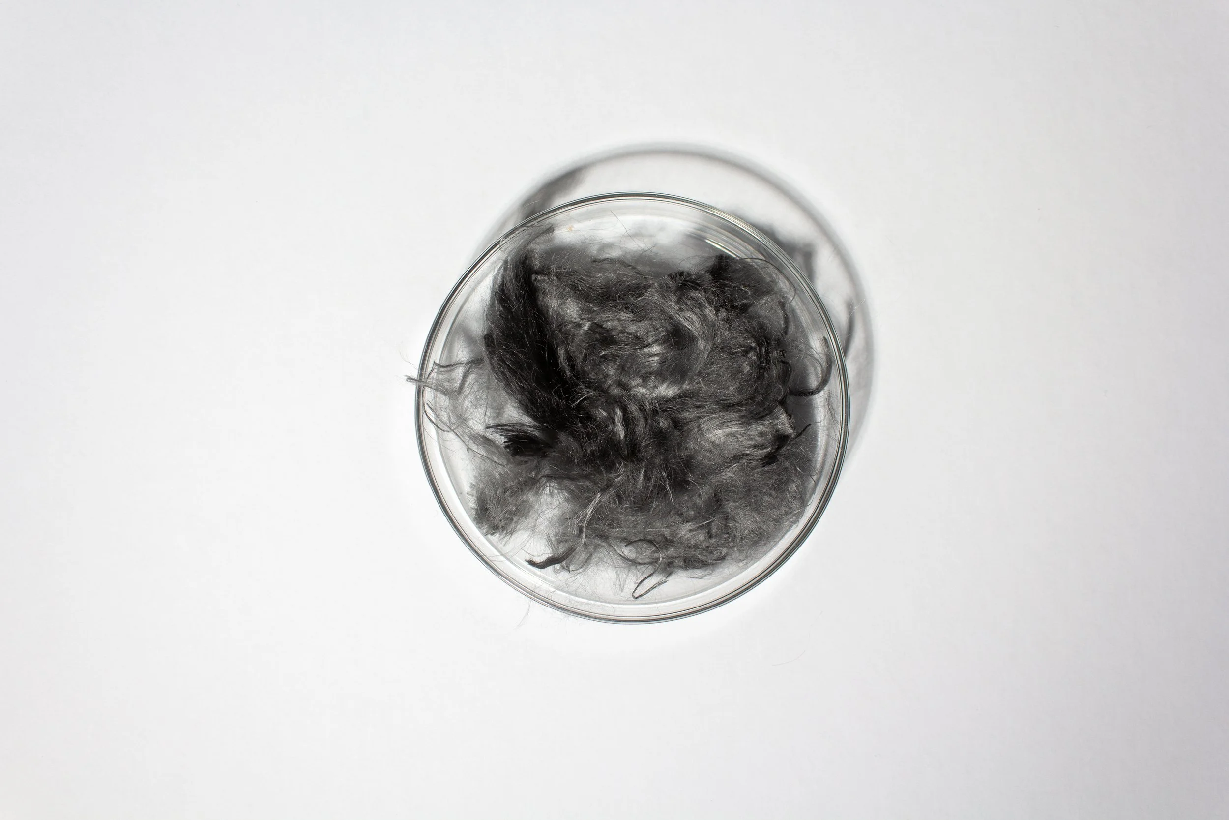 Petri dish with grey dope-dyed SeiFibre™