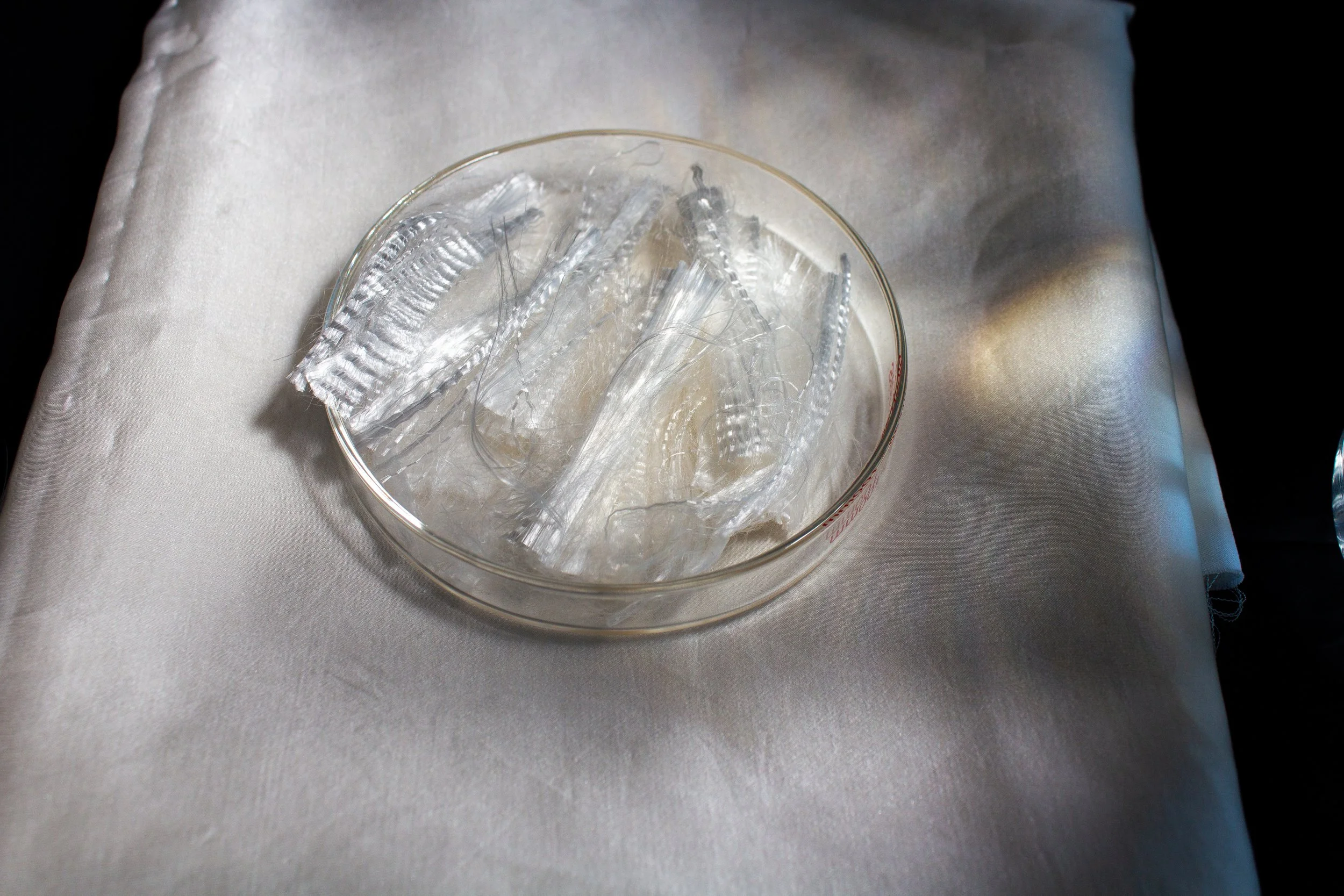 SeiFibre™ marine biomass staple fiber SeiYarn™ luxurious ocean silk fabric