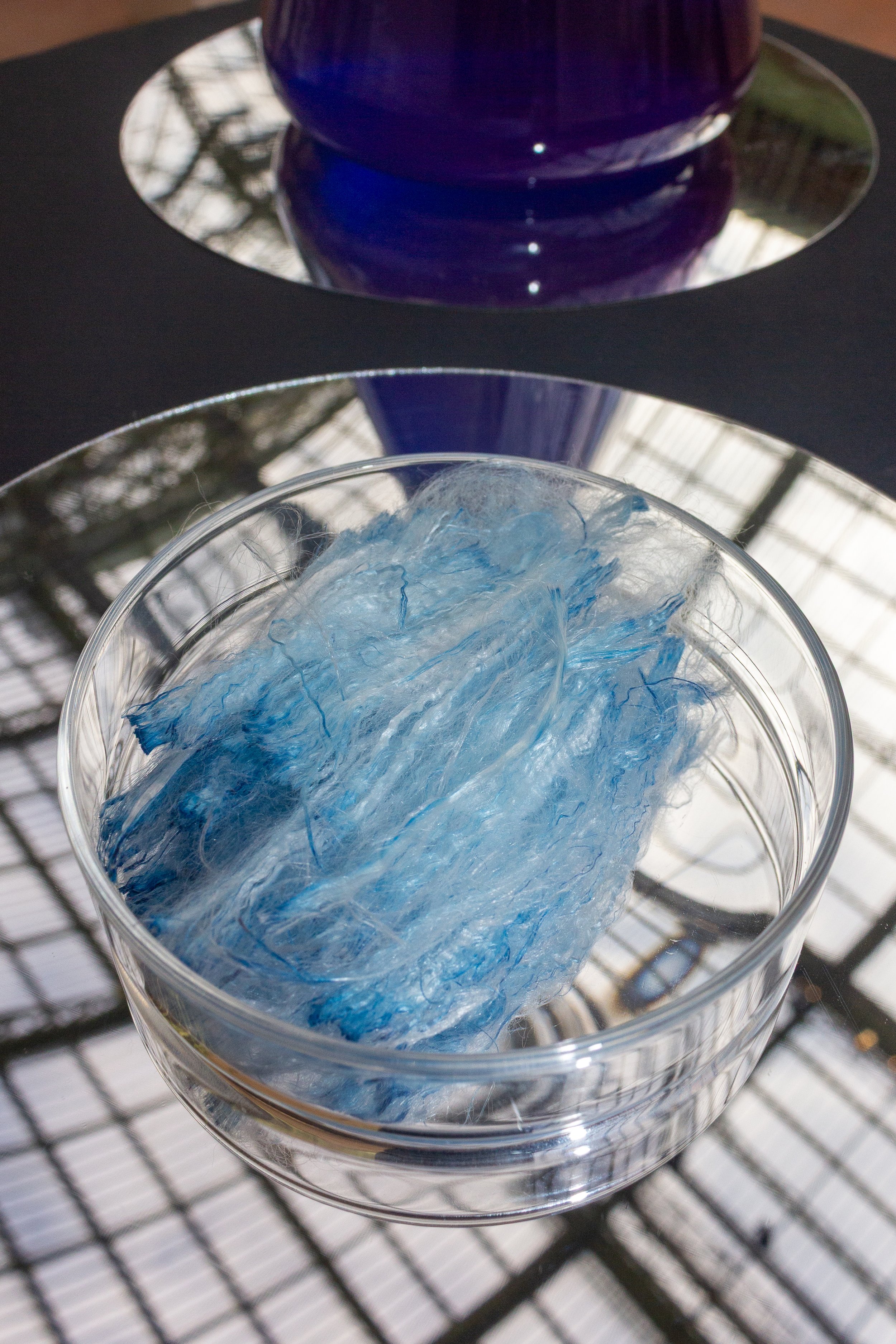 SeiYarn™ with a blue algae pigment