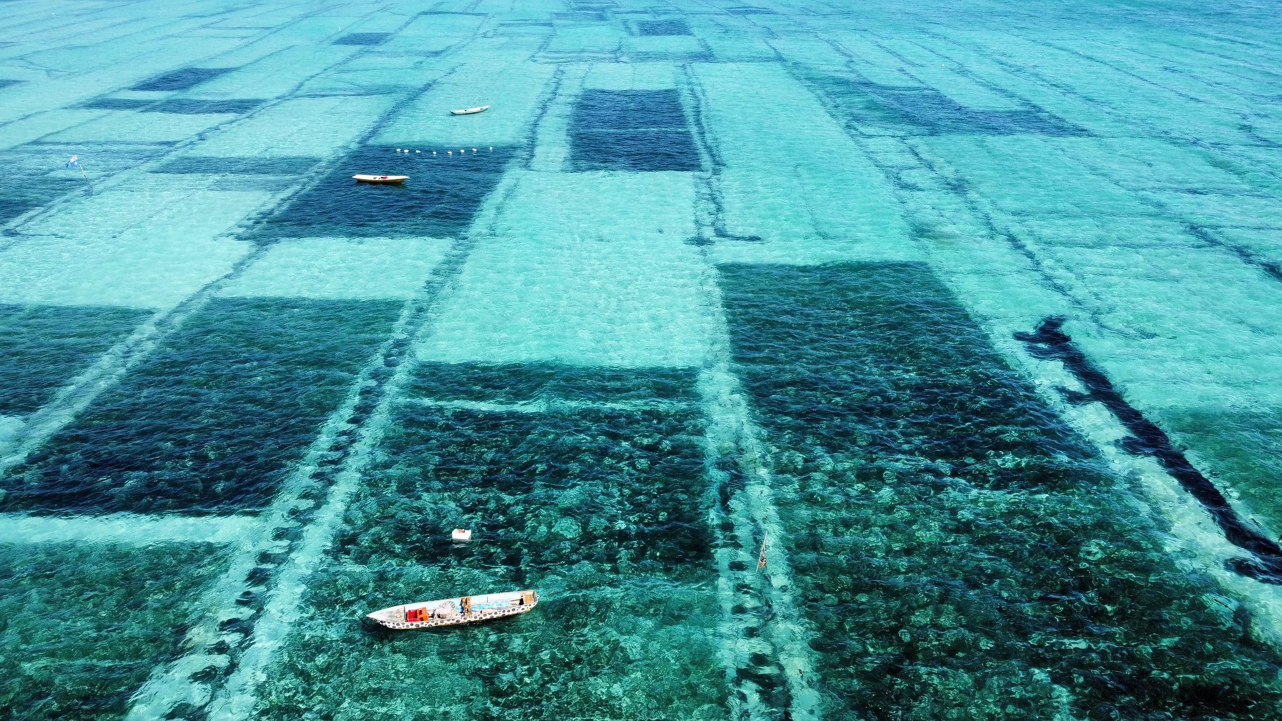Fish farm with enclosures and several boats